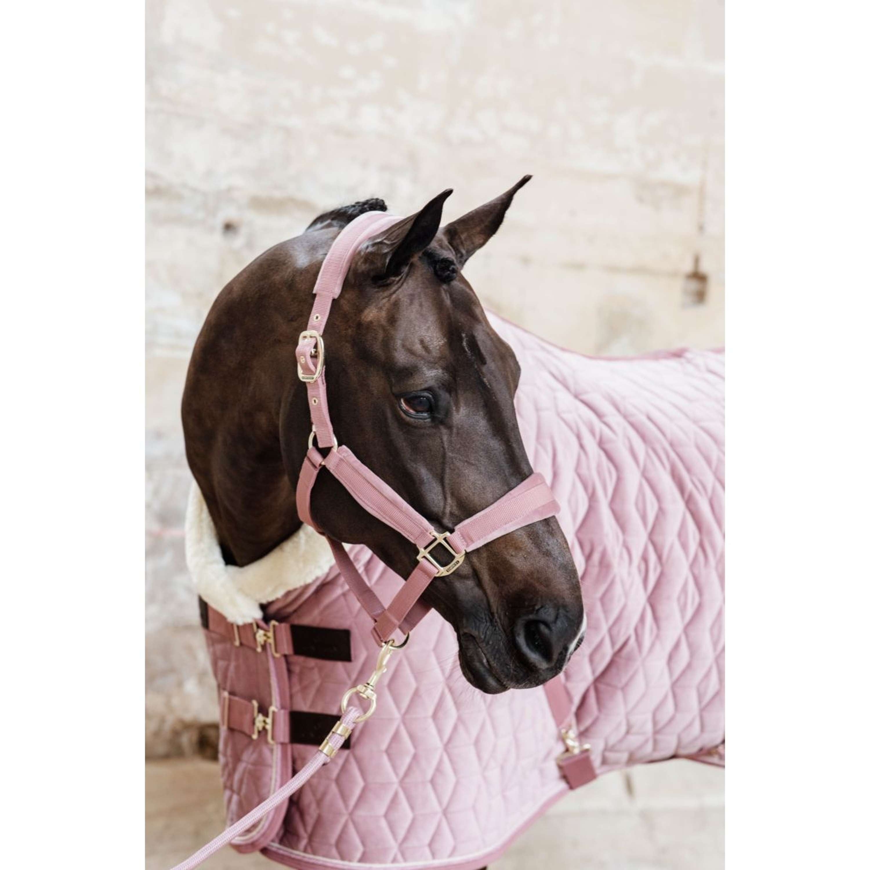 Kentucky Halter Velvet Old Rose