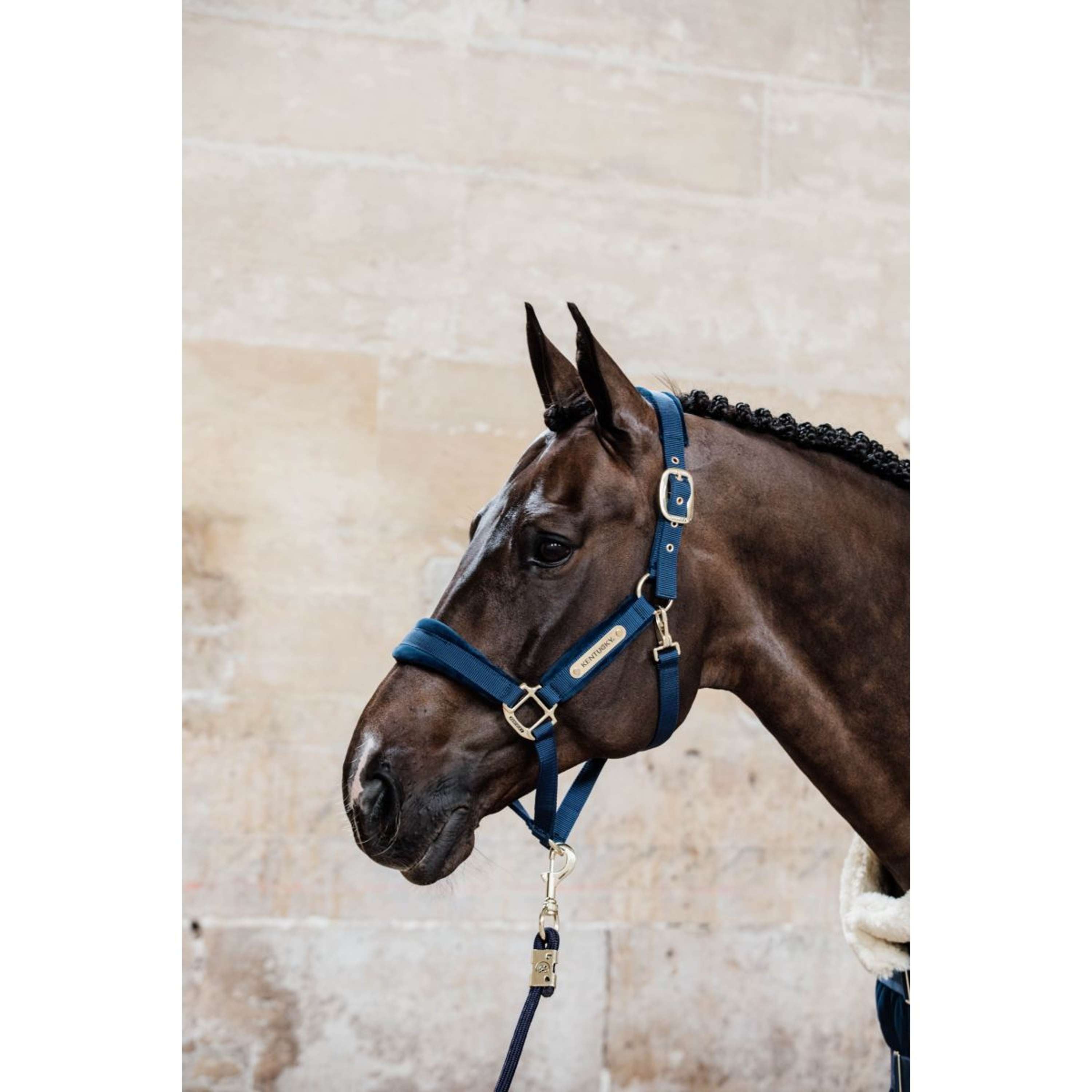 Kentucky Halter Velvet Navy