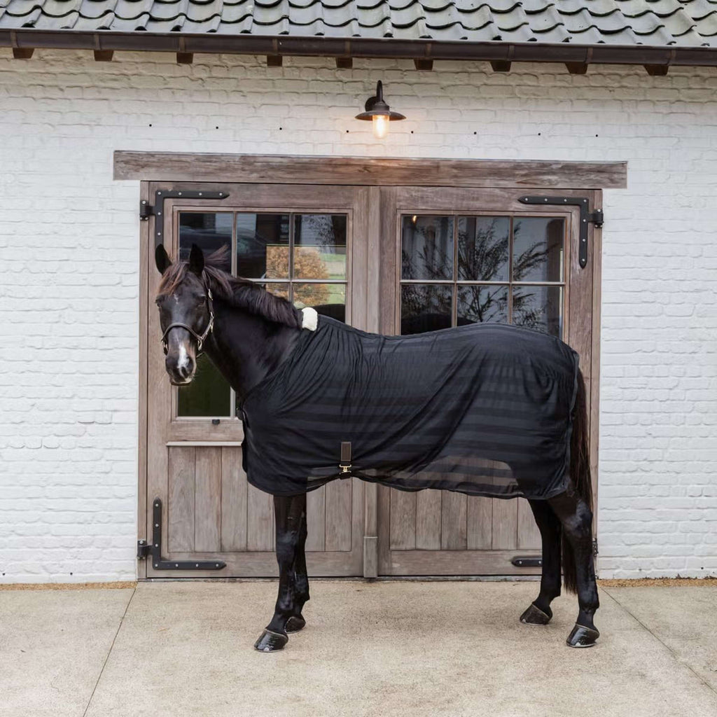 Kentucky Horsewear Fly Rug Light Striped Mesh Black