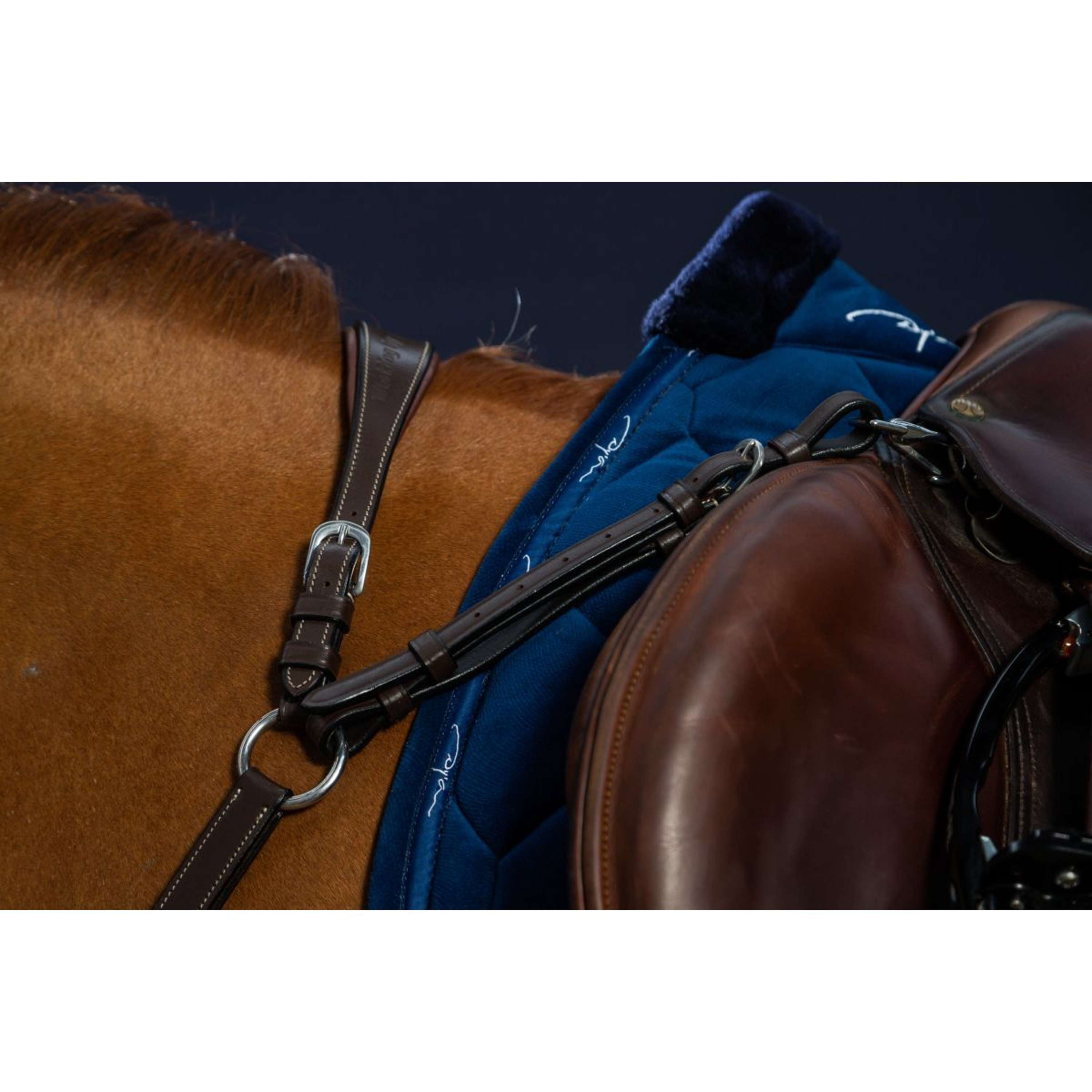 Dyon Chest Buckle Bridge Working by Dyon Brown