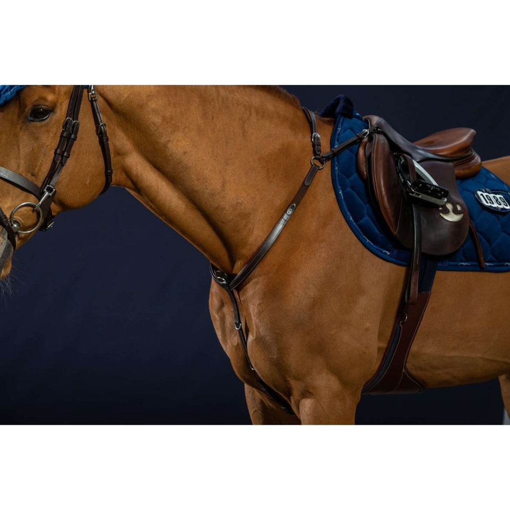 Dyon Chest Buckle Bridge Working by Dyon Brown
