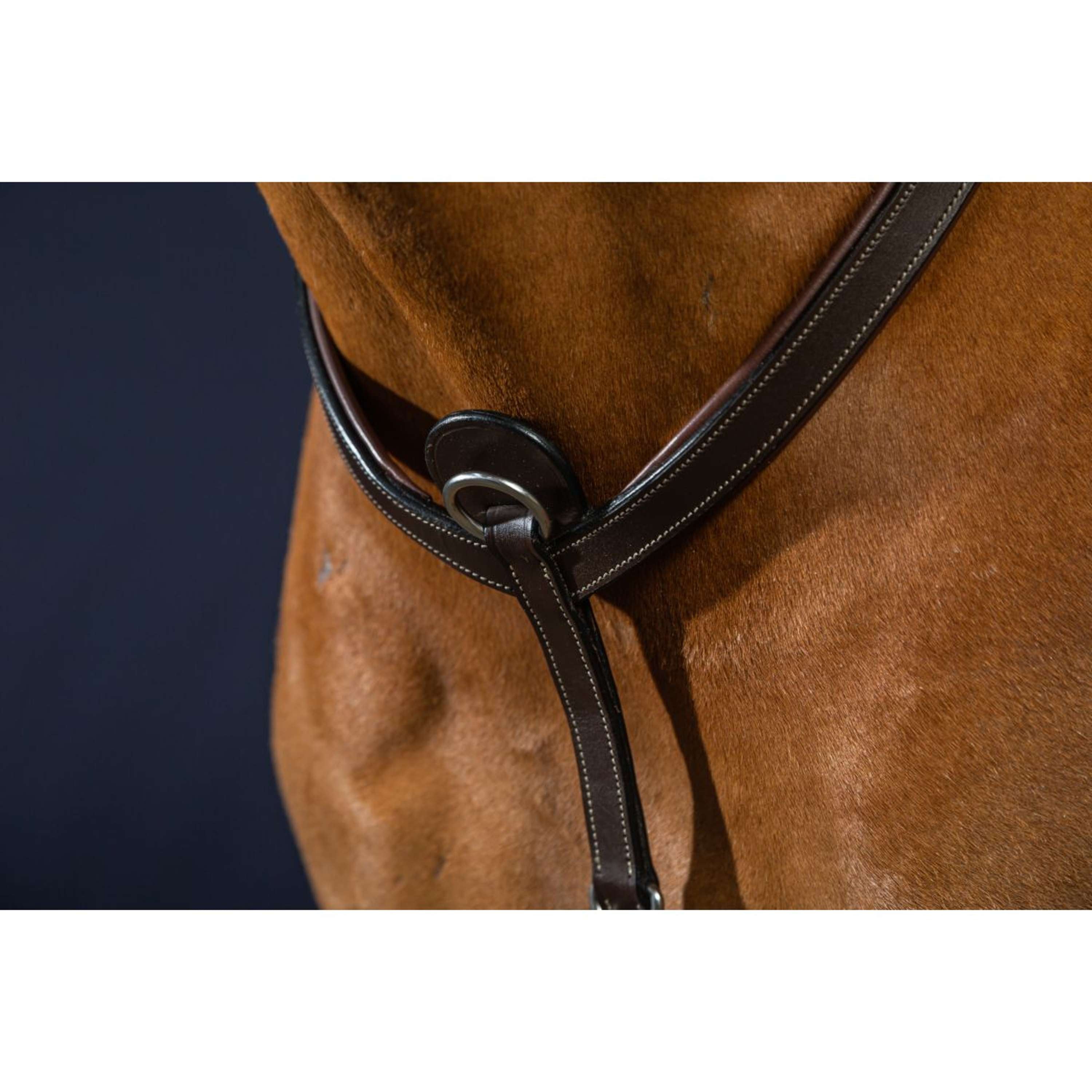 Dyon Chest Buckle Bridge Working by Dyon Brown