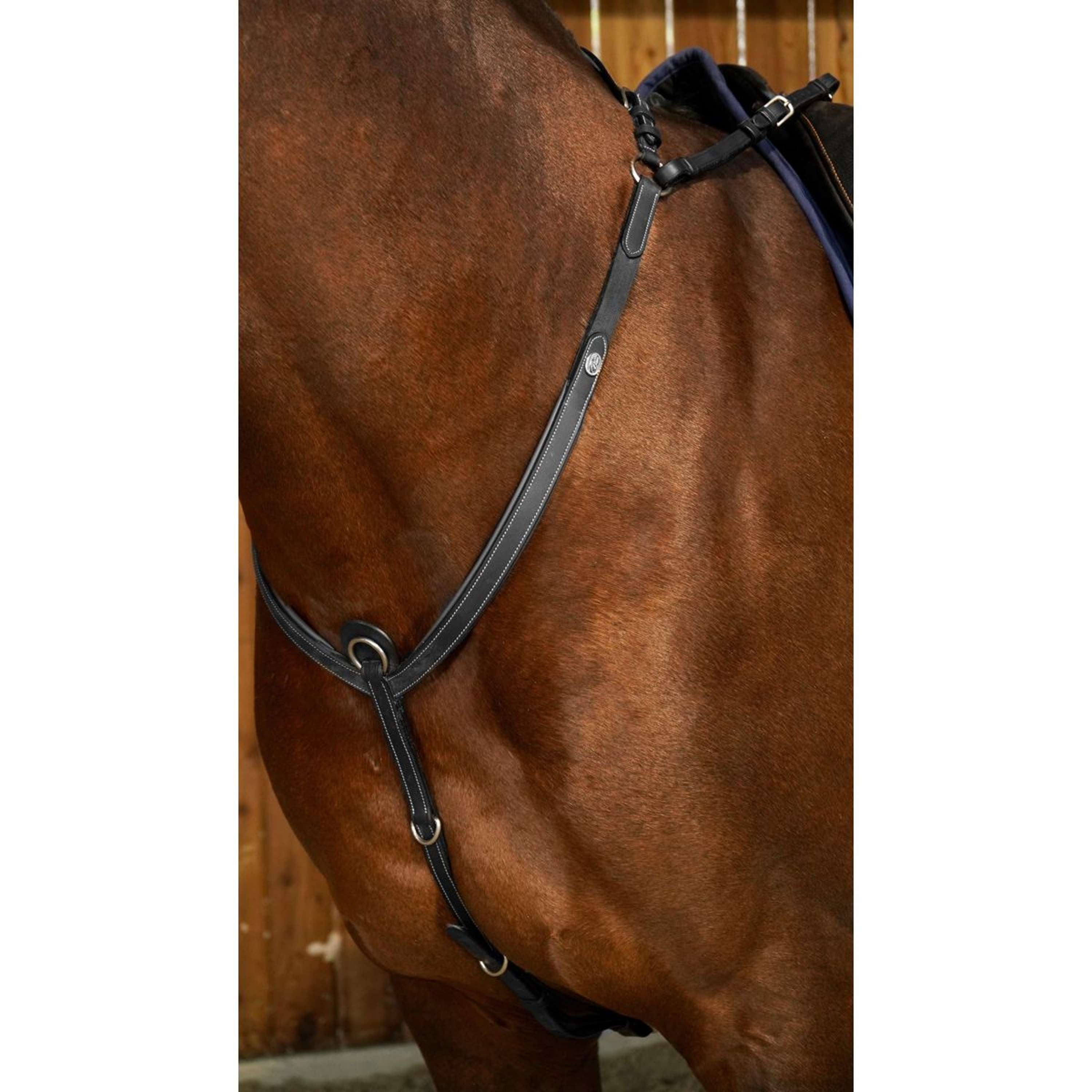 Dyon Chest Buckle Bridge Working by Dyon Black