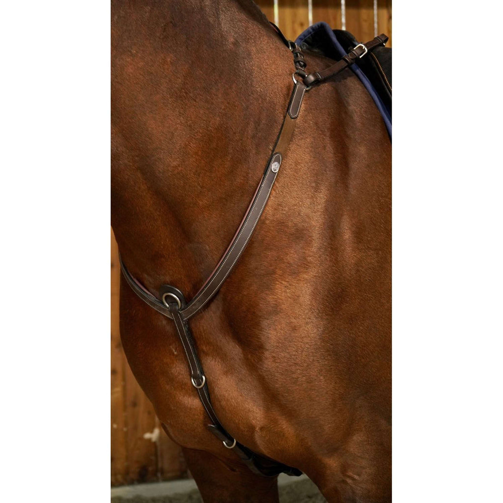 Dyon Chest Buckle Bridge Working by Dyon Brown