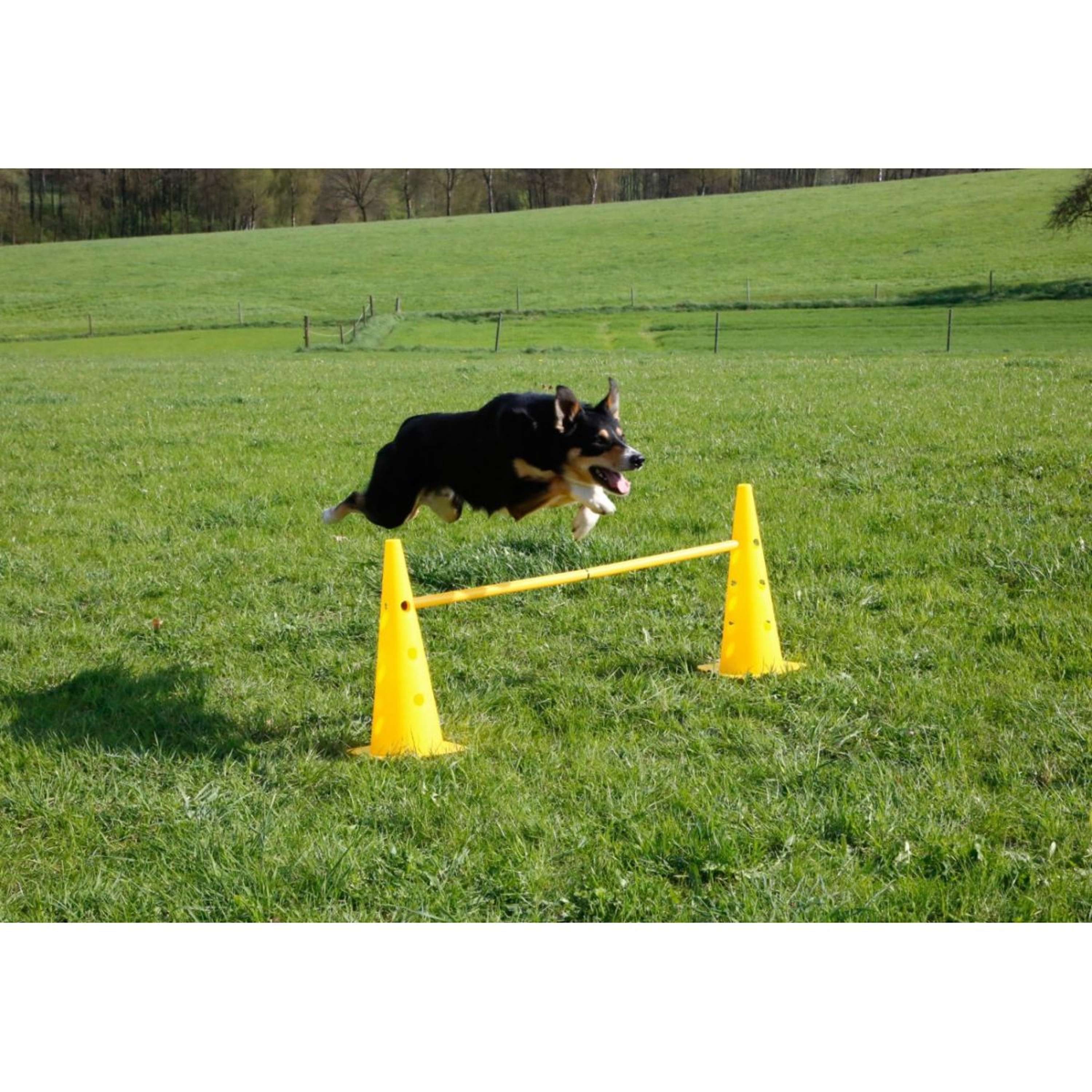 Kerbl Agility Pylon Set 3 Upstands Red/Yellow