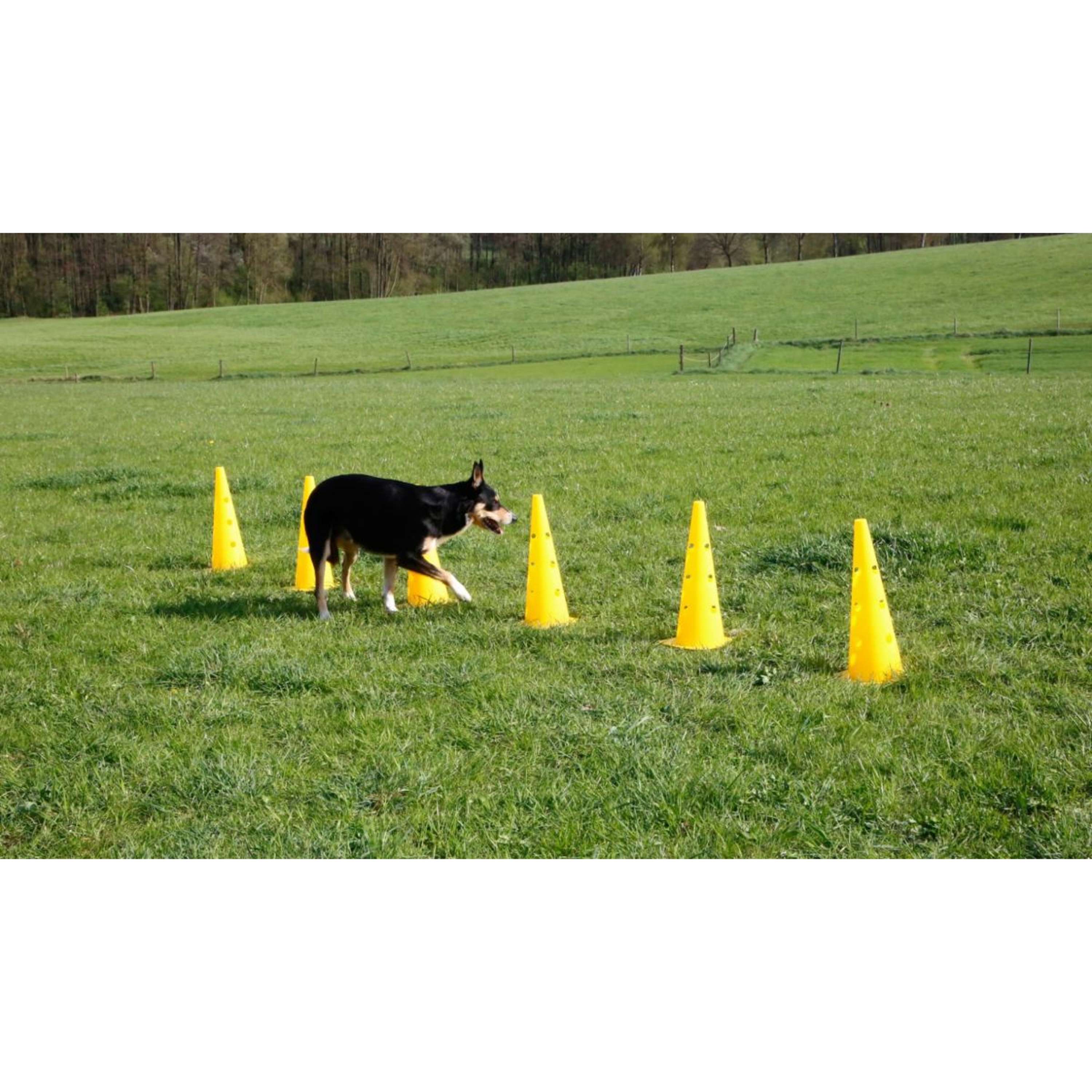 Kerbl Agility Pylon Set 3 Upstands Red/Yellow