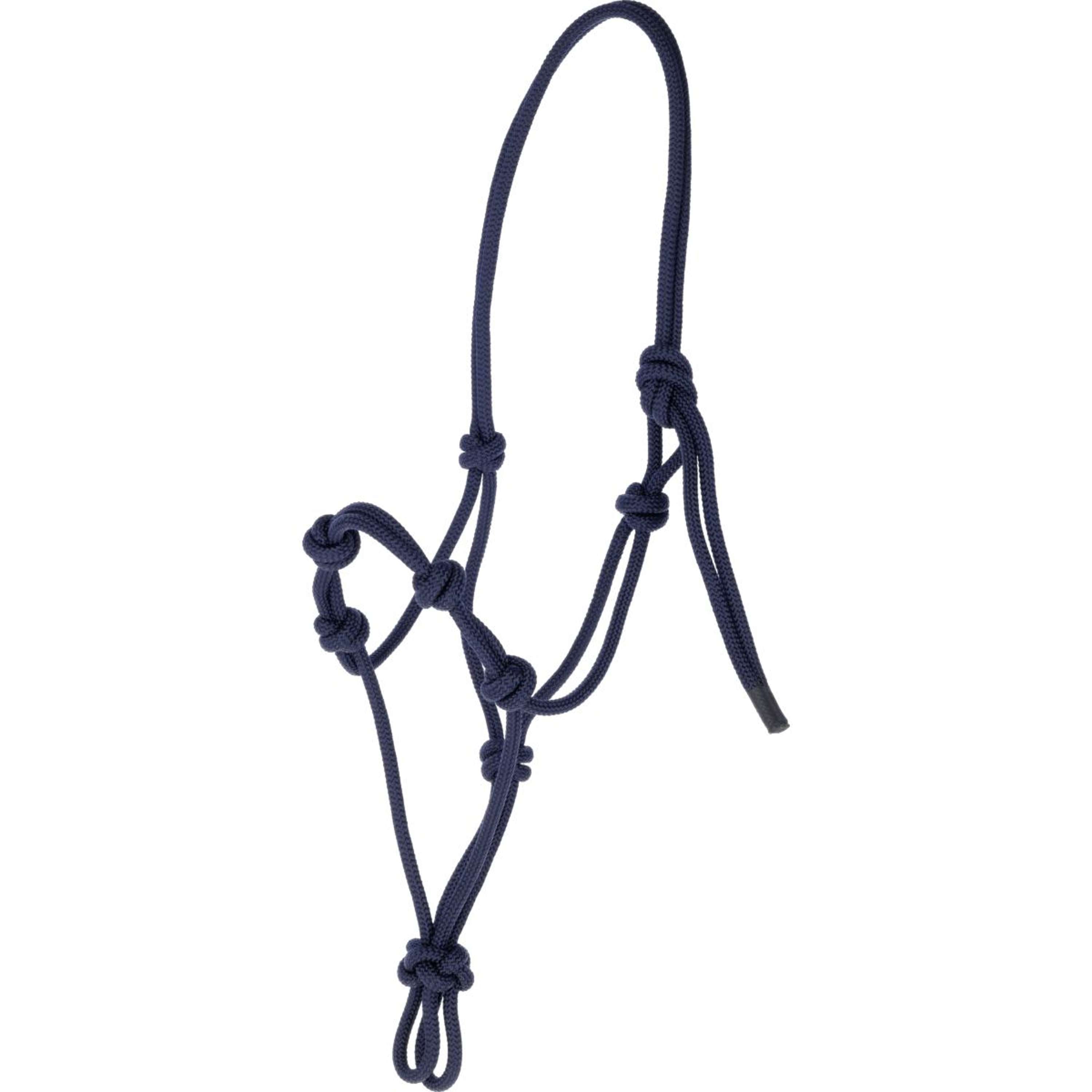 Covalliero Rope Halter Blue
