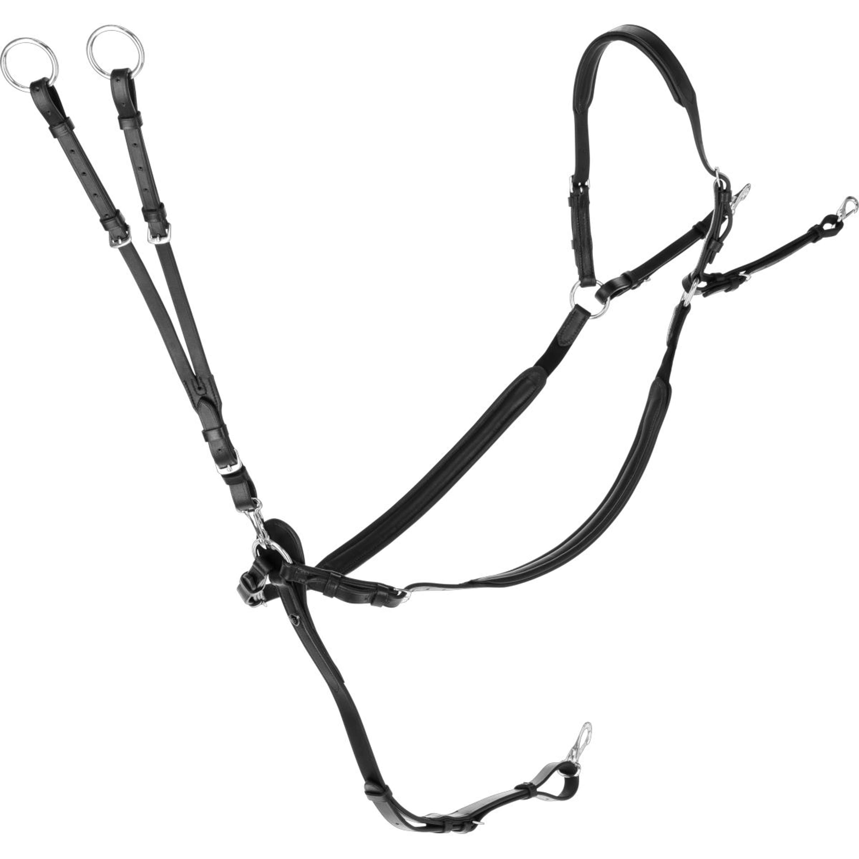 Covalliero Chest Buckle with a Martingale Black