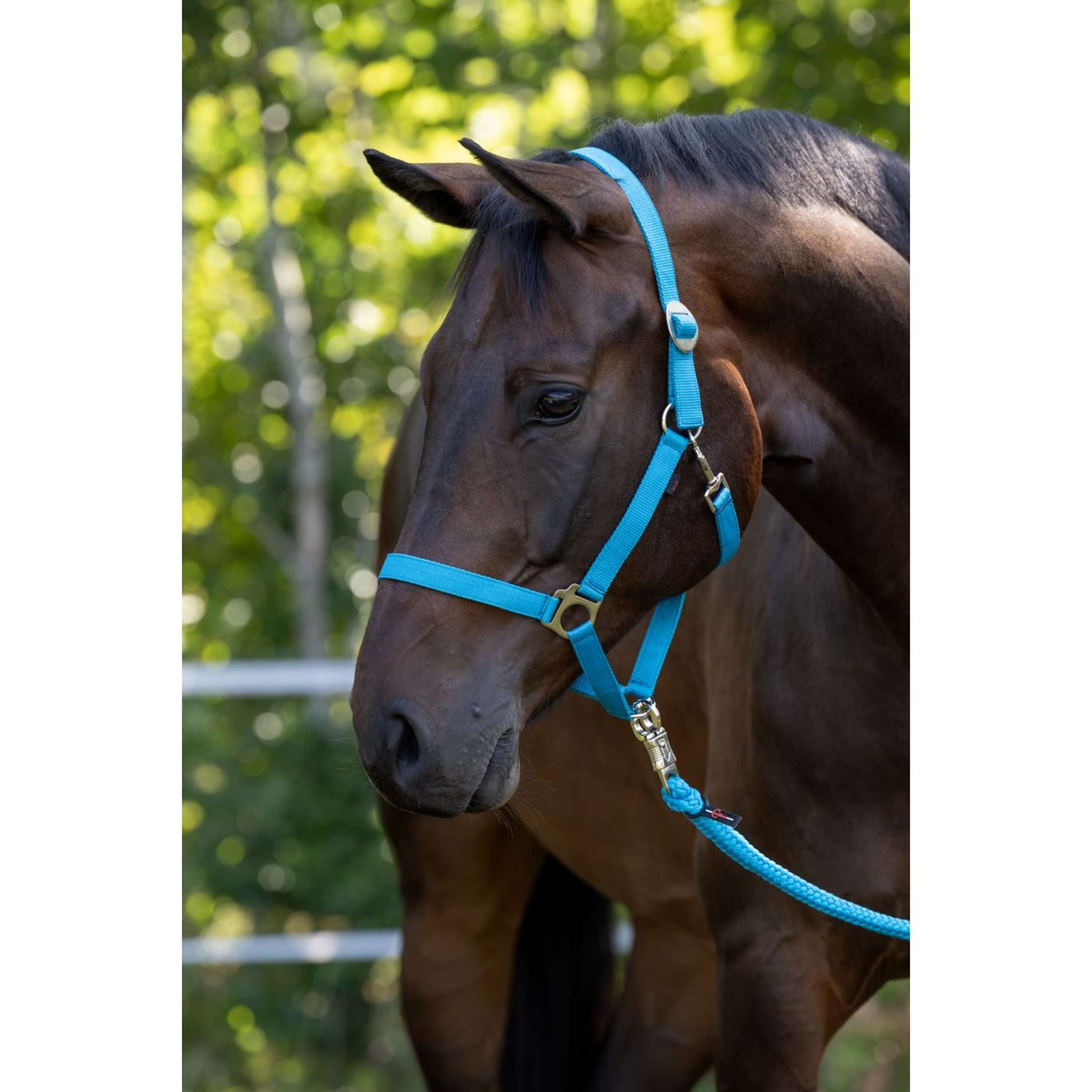 Covalliero Halter Hippo Blue