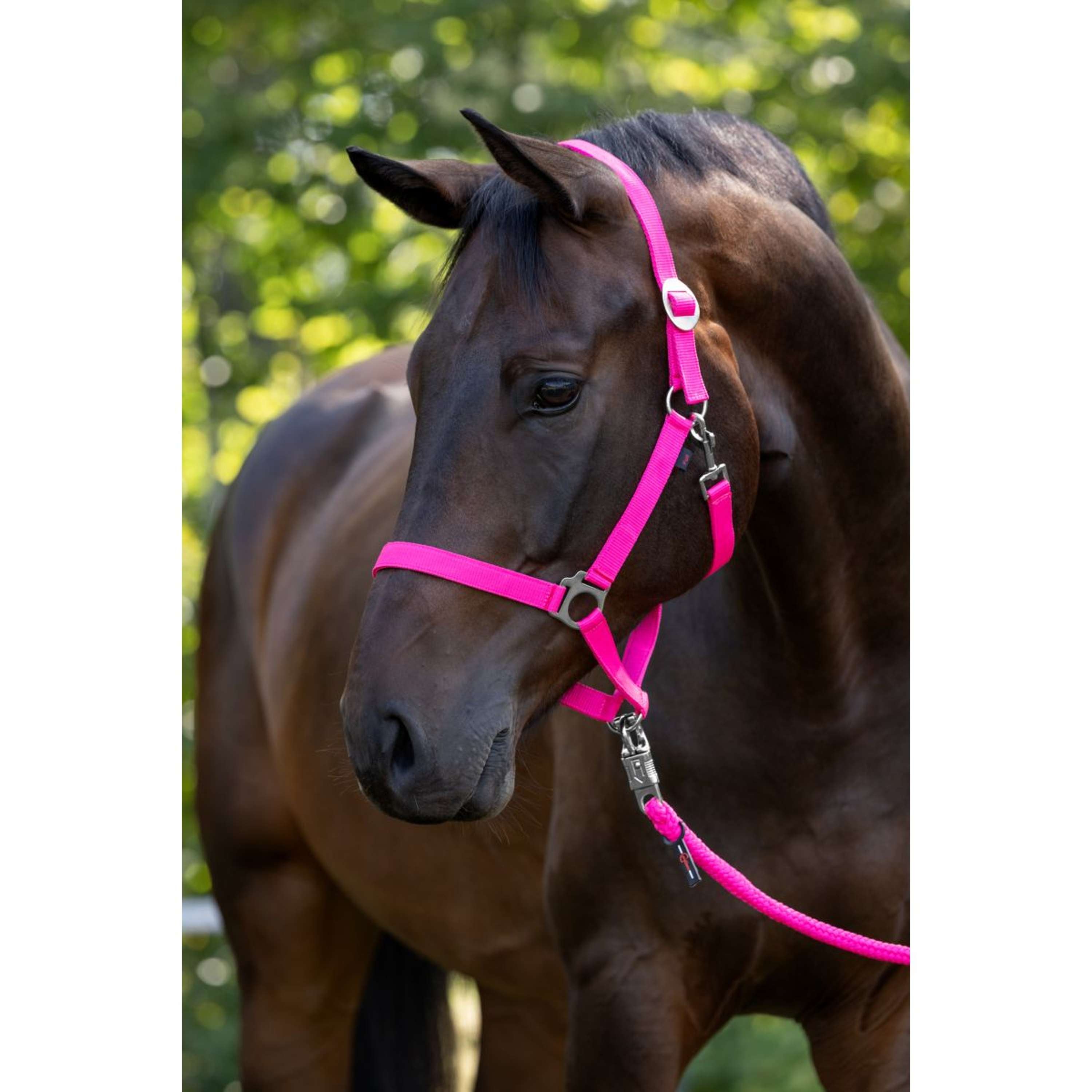 Covalliero Halter Hippo Pink