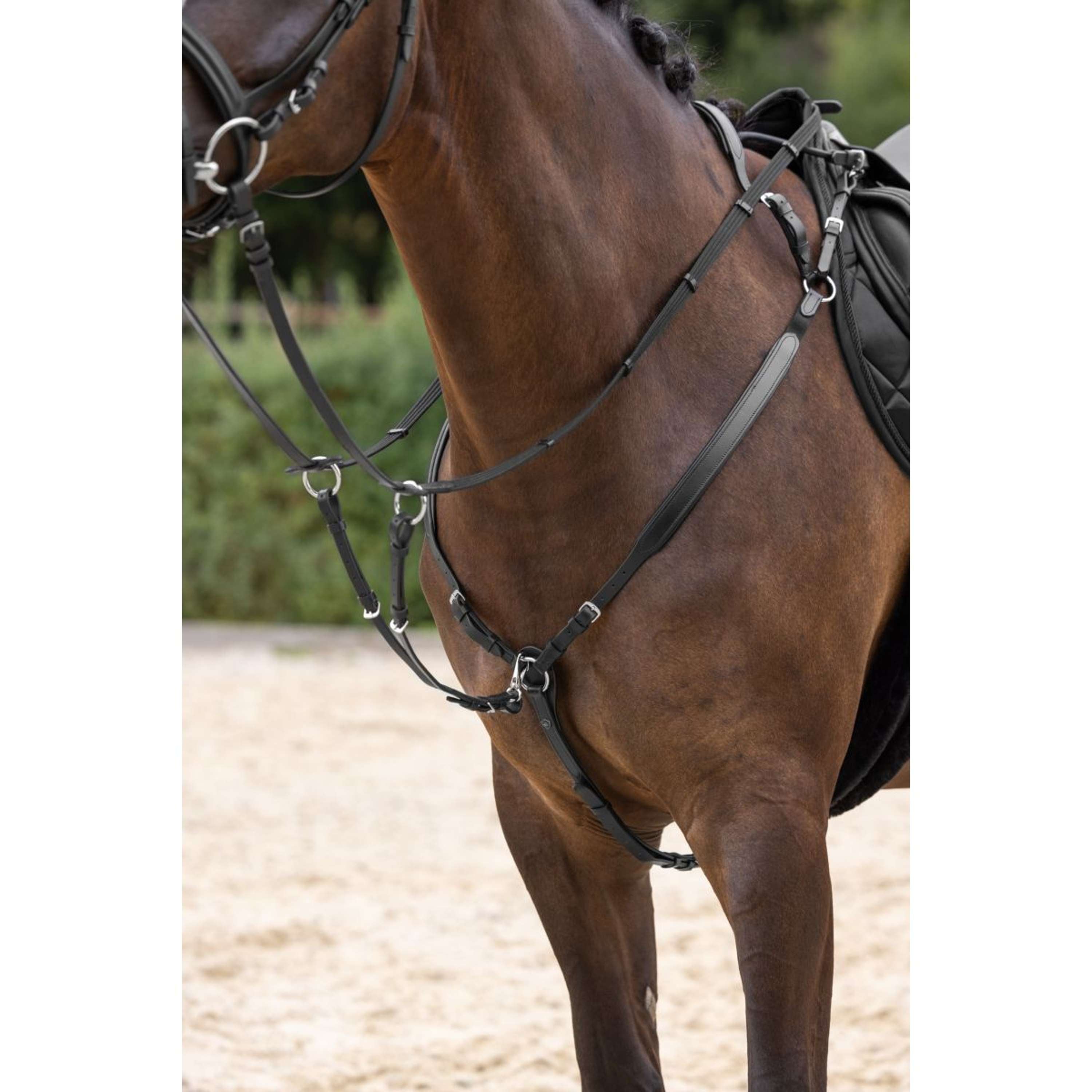 Covalliero Chest Buckle with a Martingale Black