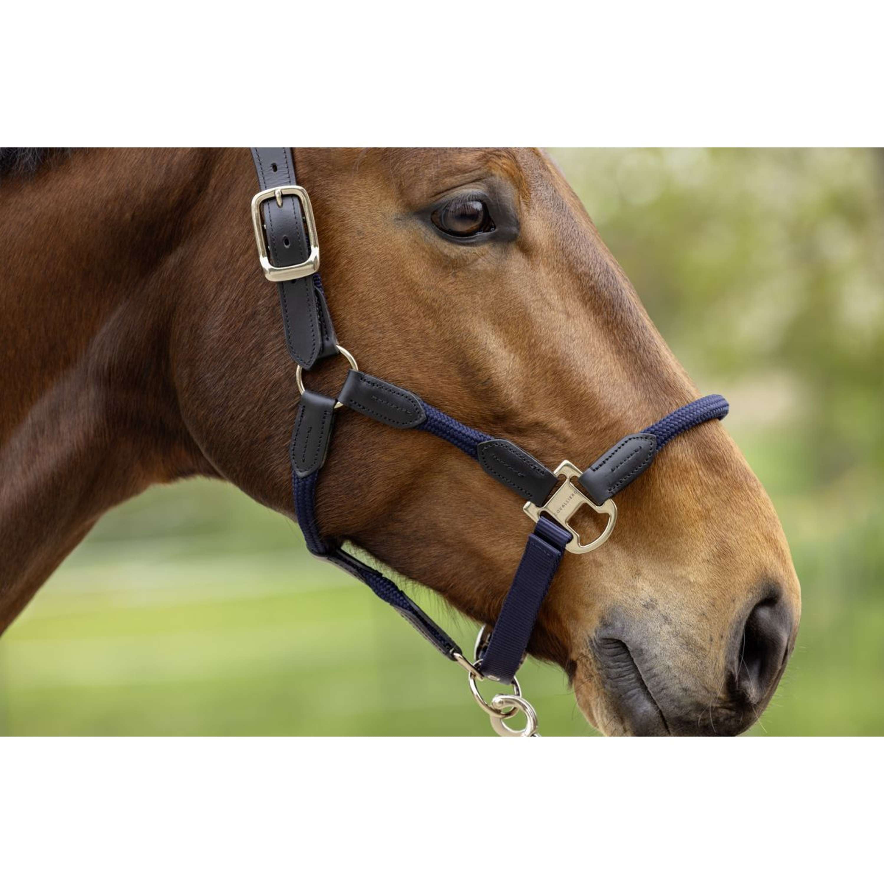 Covalliero Halter SS26 Dark Navy