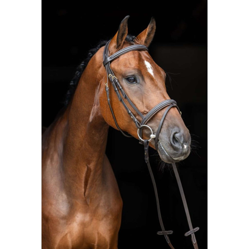 Kerbl Bridle Classic Leather Classic Brown