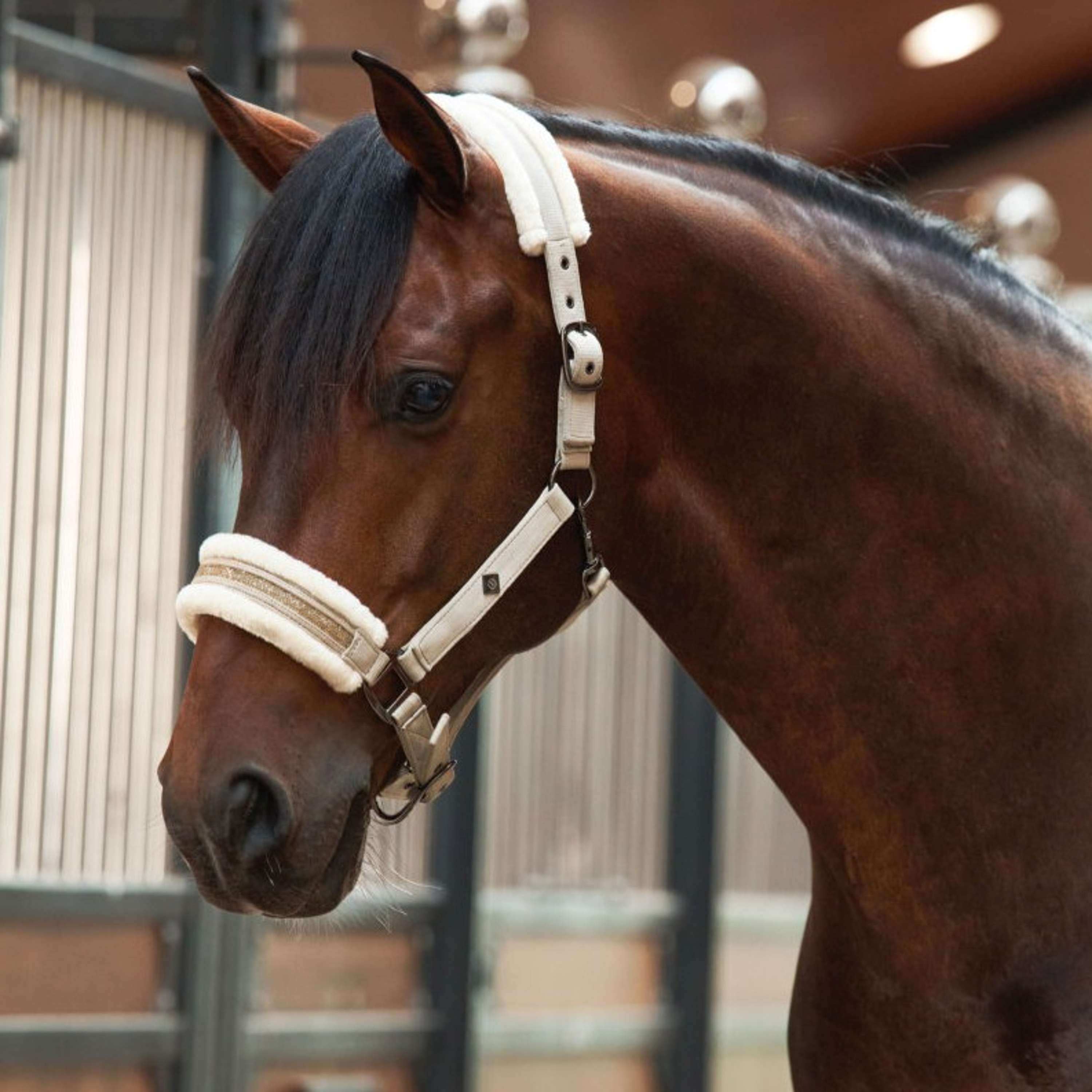 Imperial Riding Halter IRHJewel Taupe