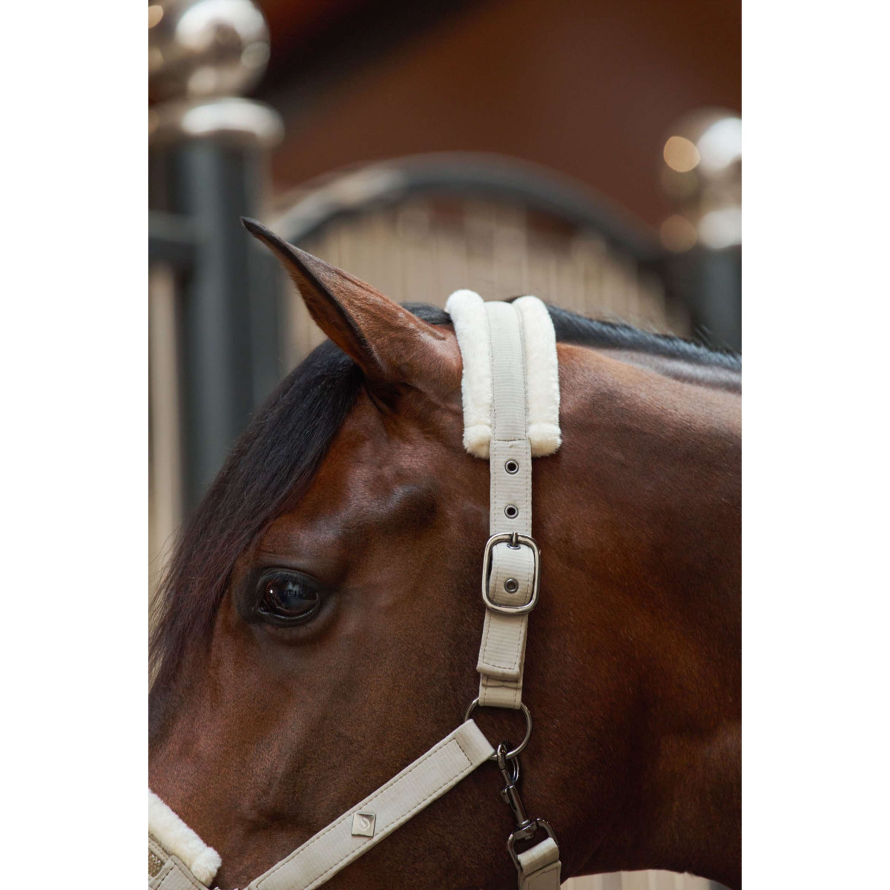 Imperial Riding Halter IRHJewel Taupe