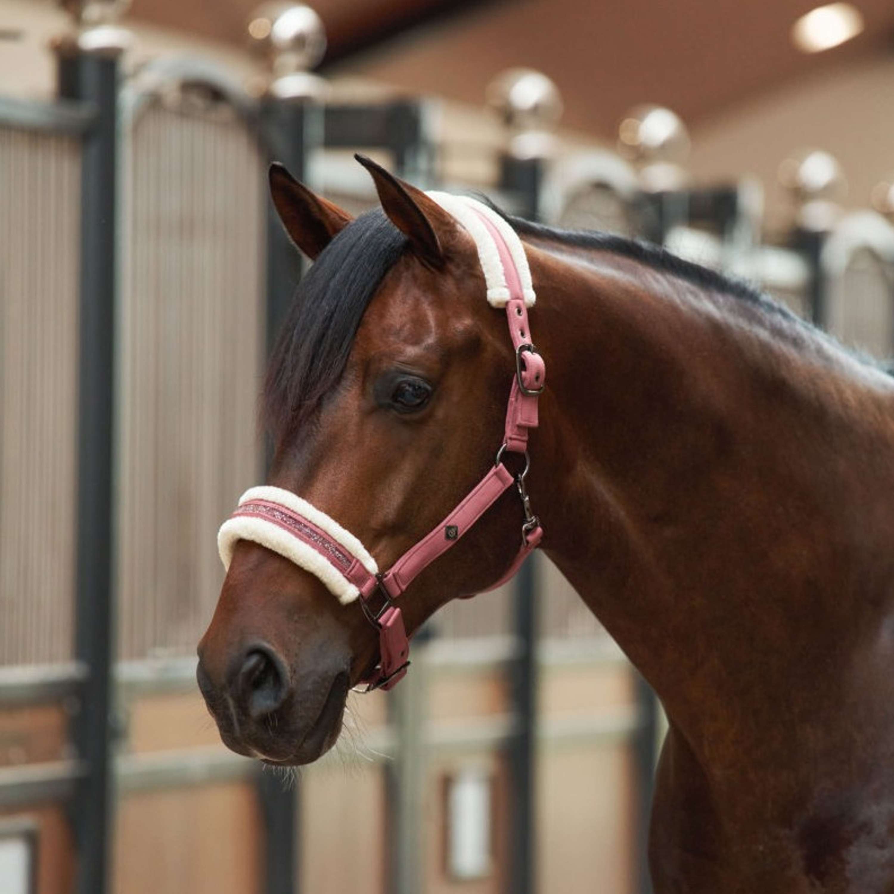 Imperial Riding Halter IRHJewel Mauve