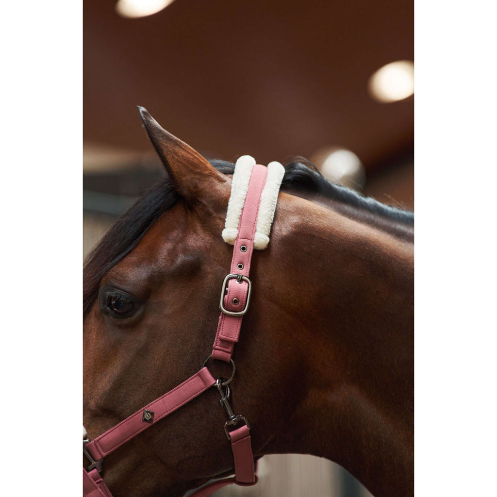 Imperial Riding Halter IRHJewel Mauve