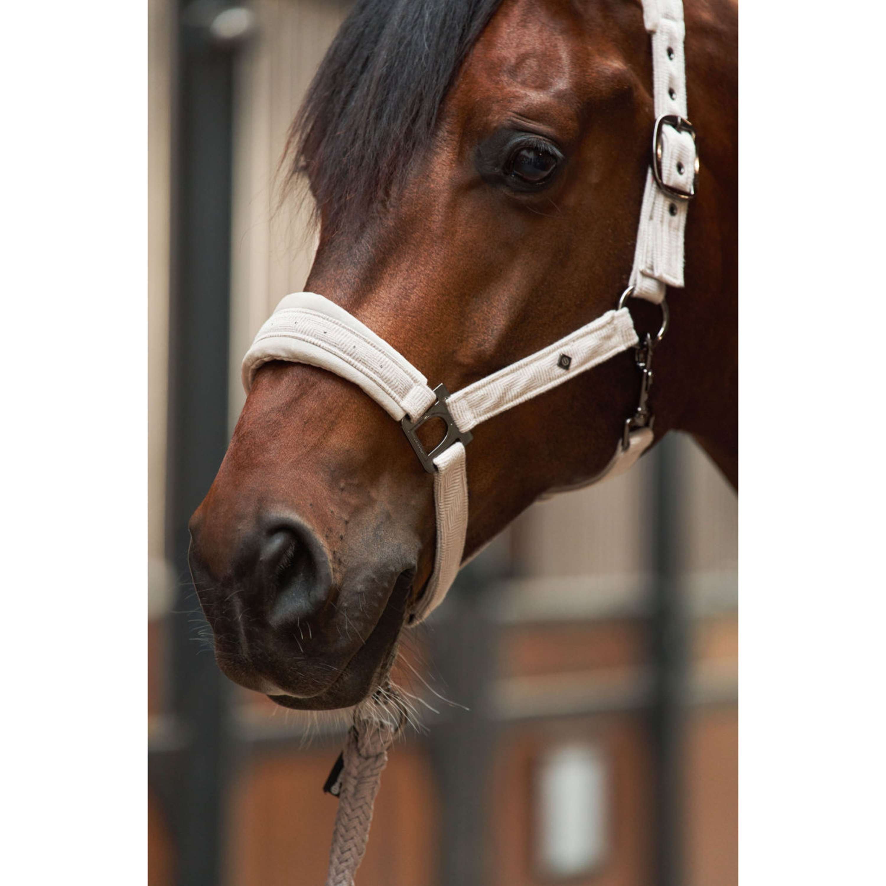 Imperial Riding Halter IRHPenny Herringbone Taupe