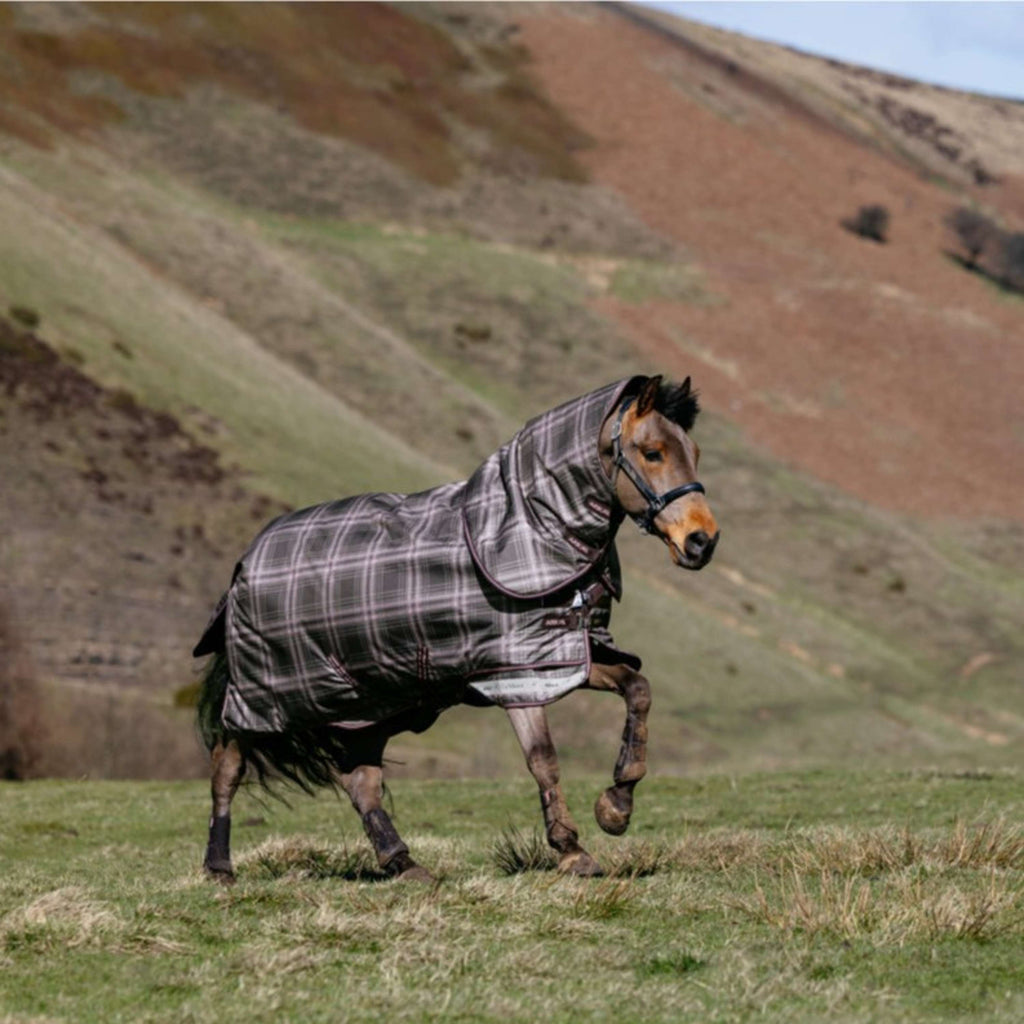LeMieux Winter Rug Arika Heritage Check 100g Cocoa