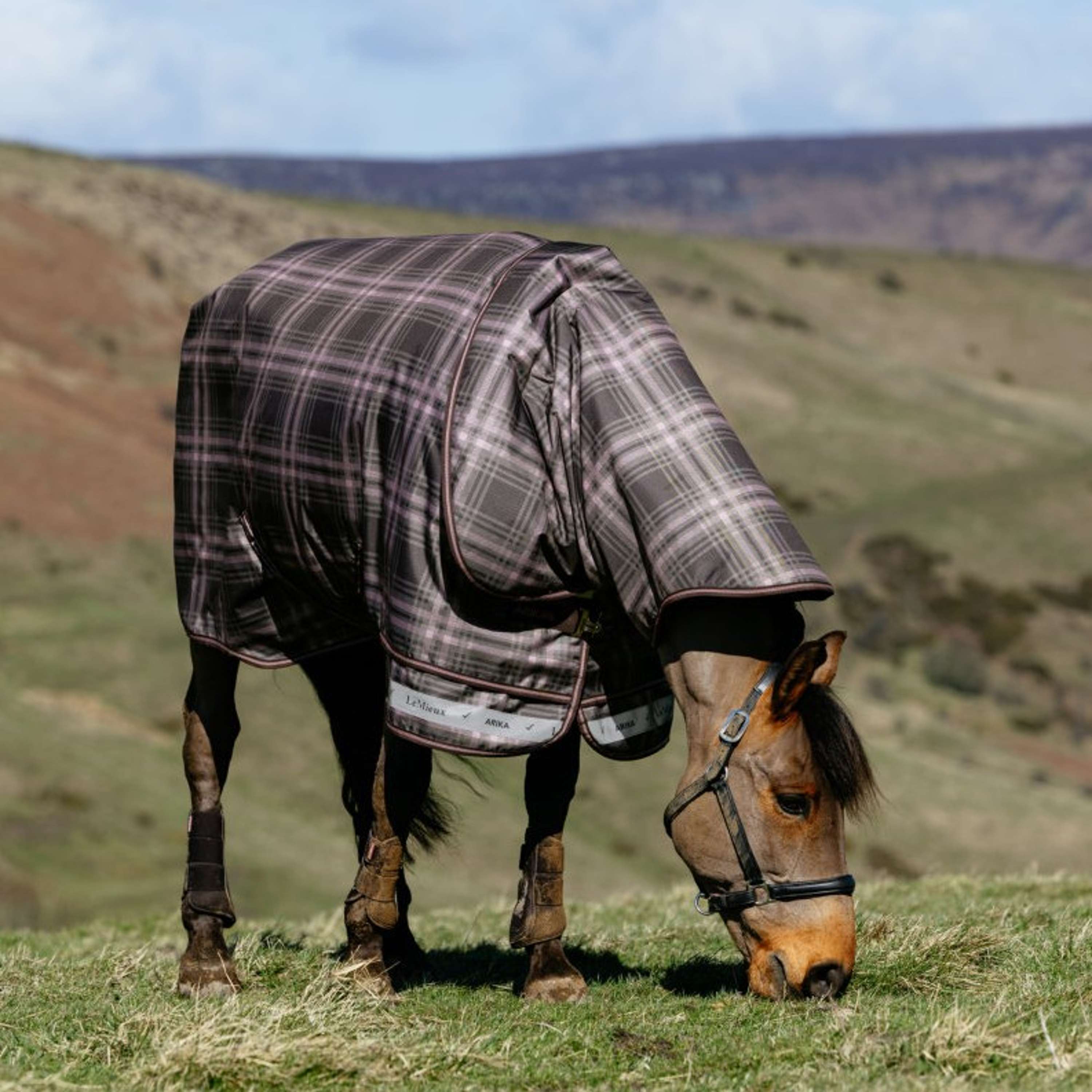 LeMieux Winter Rug Arika Heritage Check 100g Cocoa