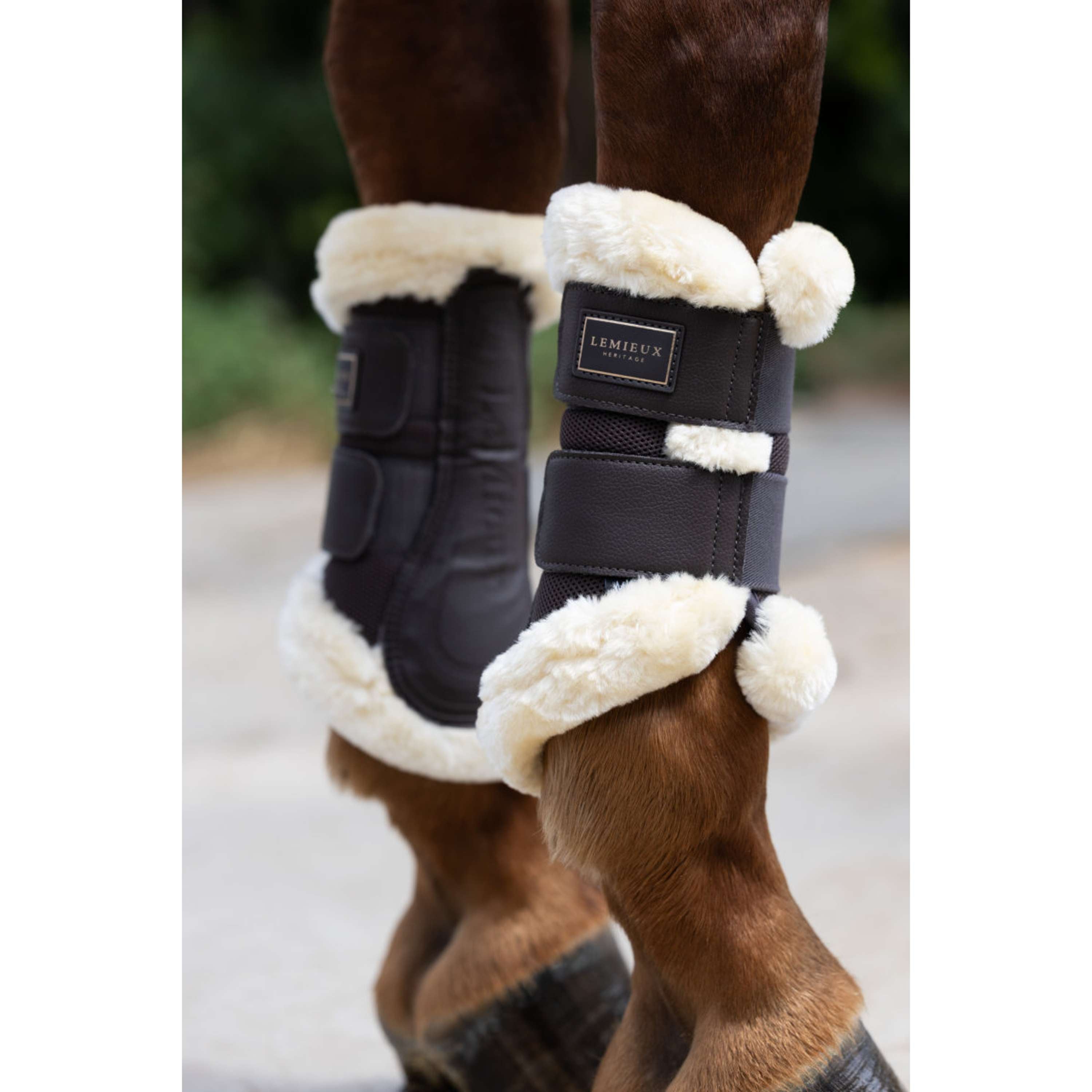 LeMieux Leg Protectors Heritage Fleece Edged Cocoa