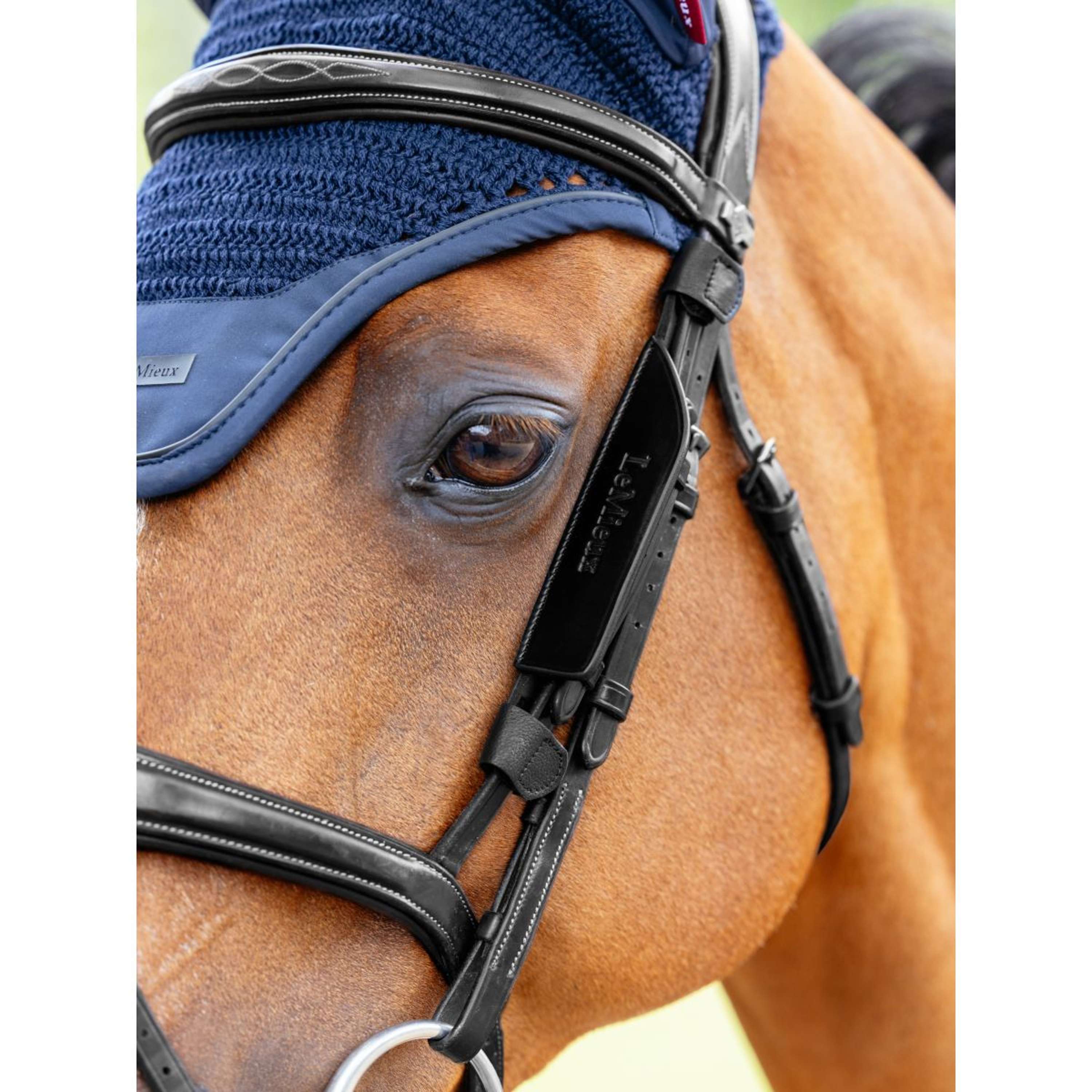 LeMieux Blinker Leather Black