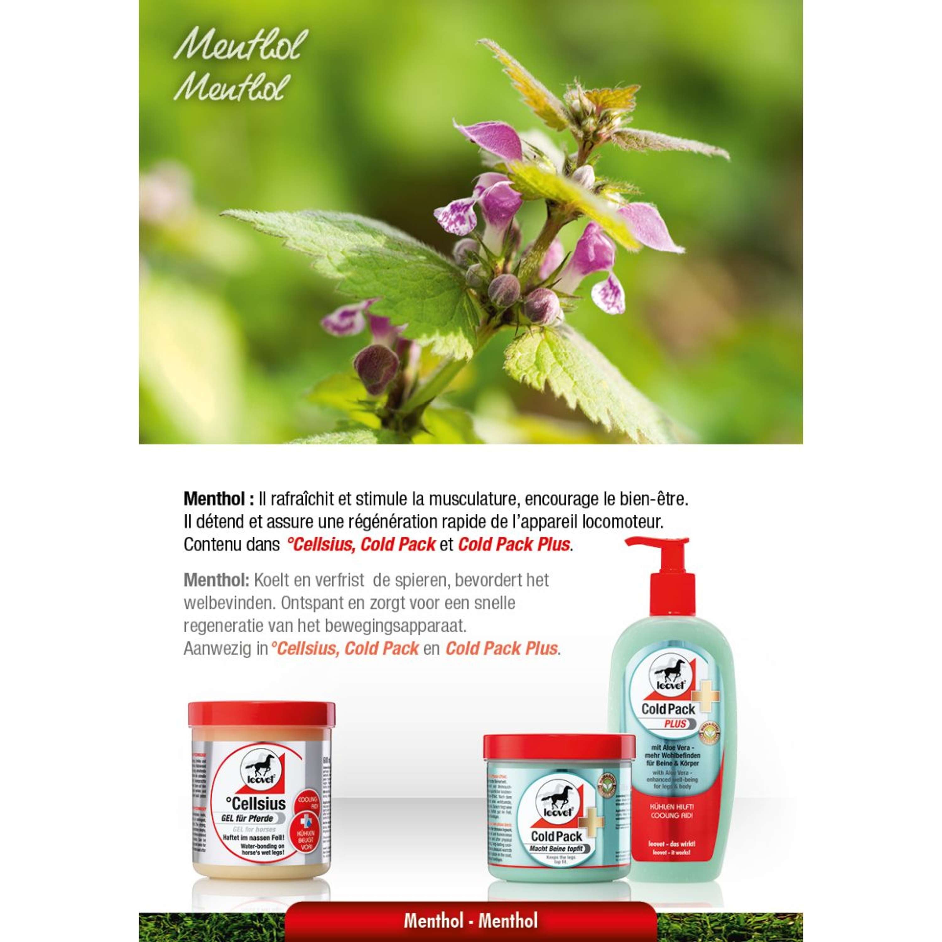 Leovet Cold Pack