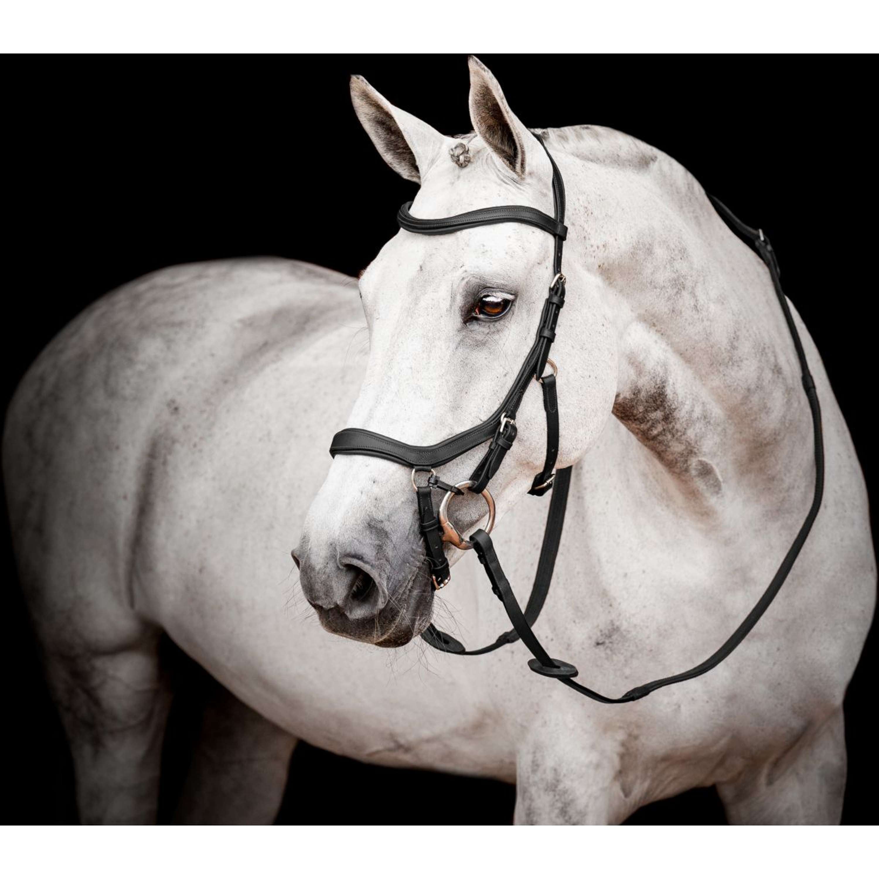 Horseware Micklem Competition Bridle New Black