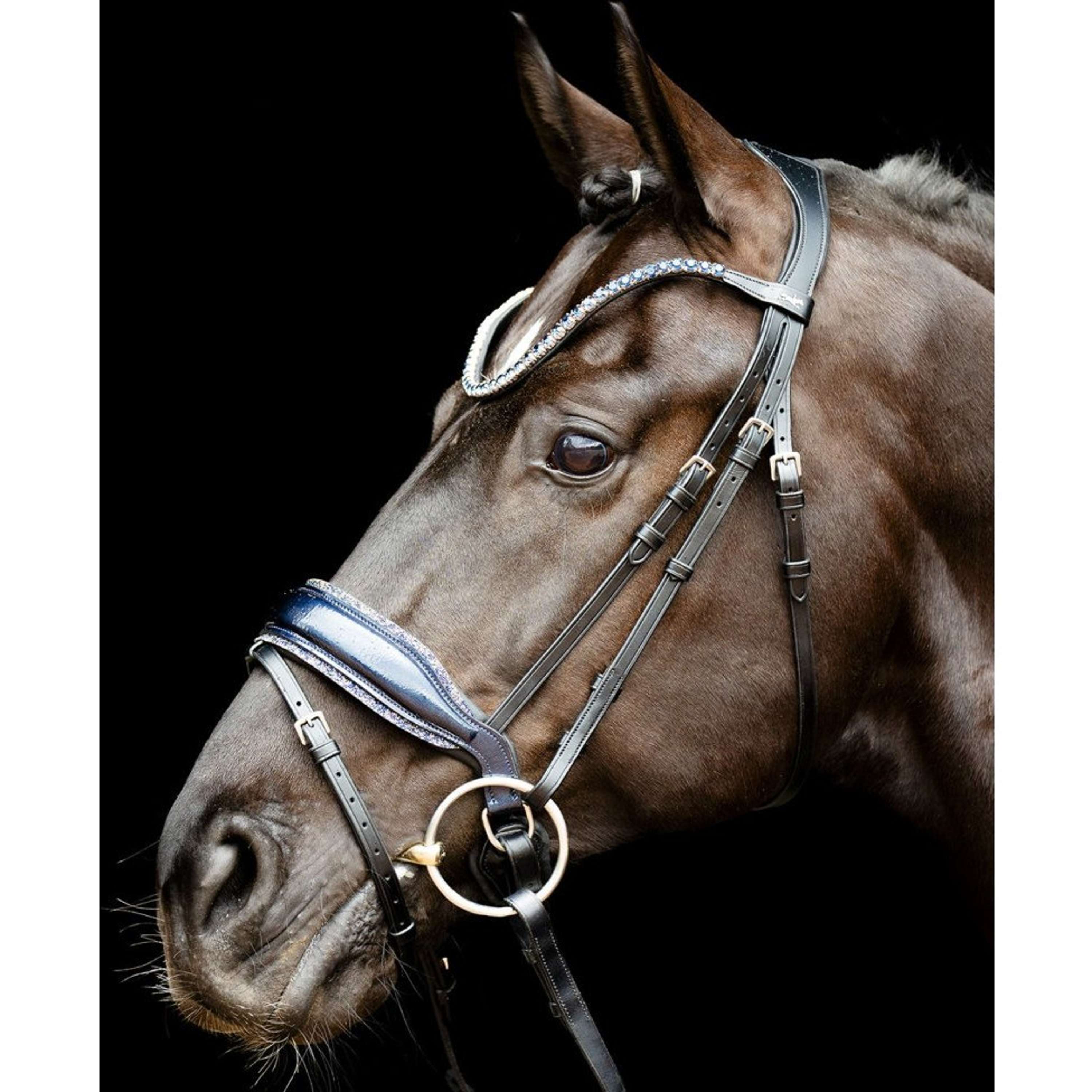 Schockemöhle Bridle SPLuxury Dressage Black/Silver/Blue