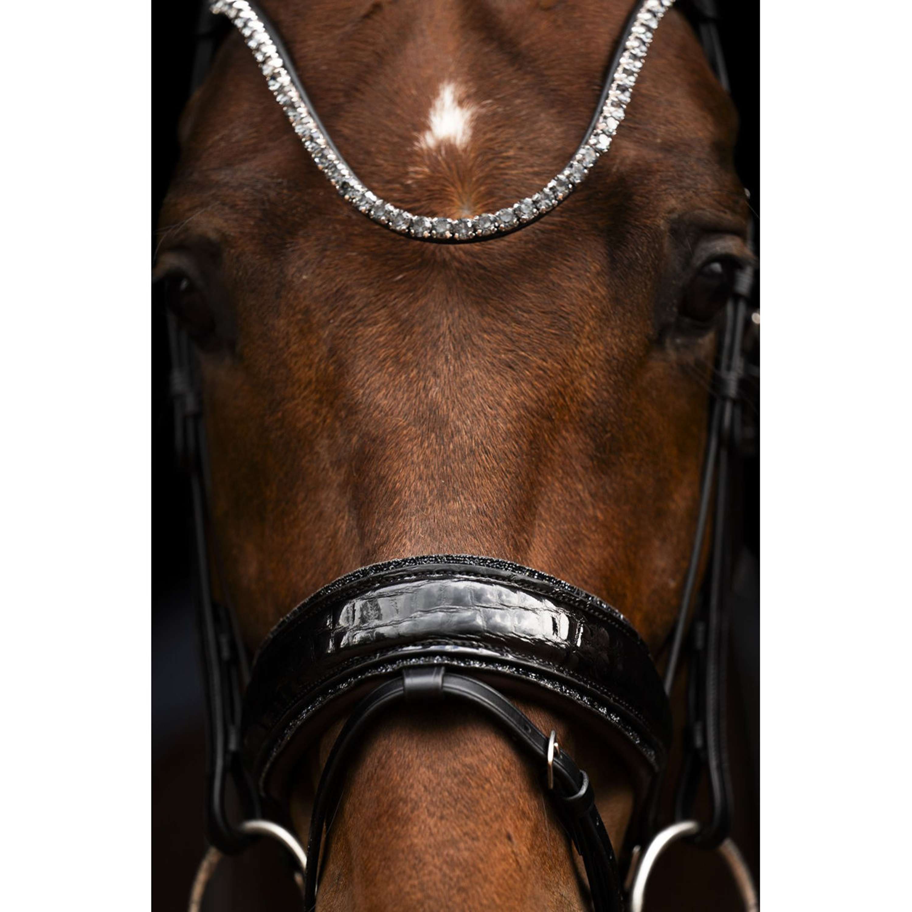 Schockemöhle Bridle SPLuxury Dressage Croco/Black/Silver