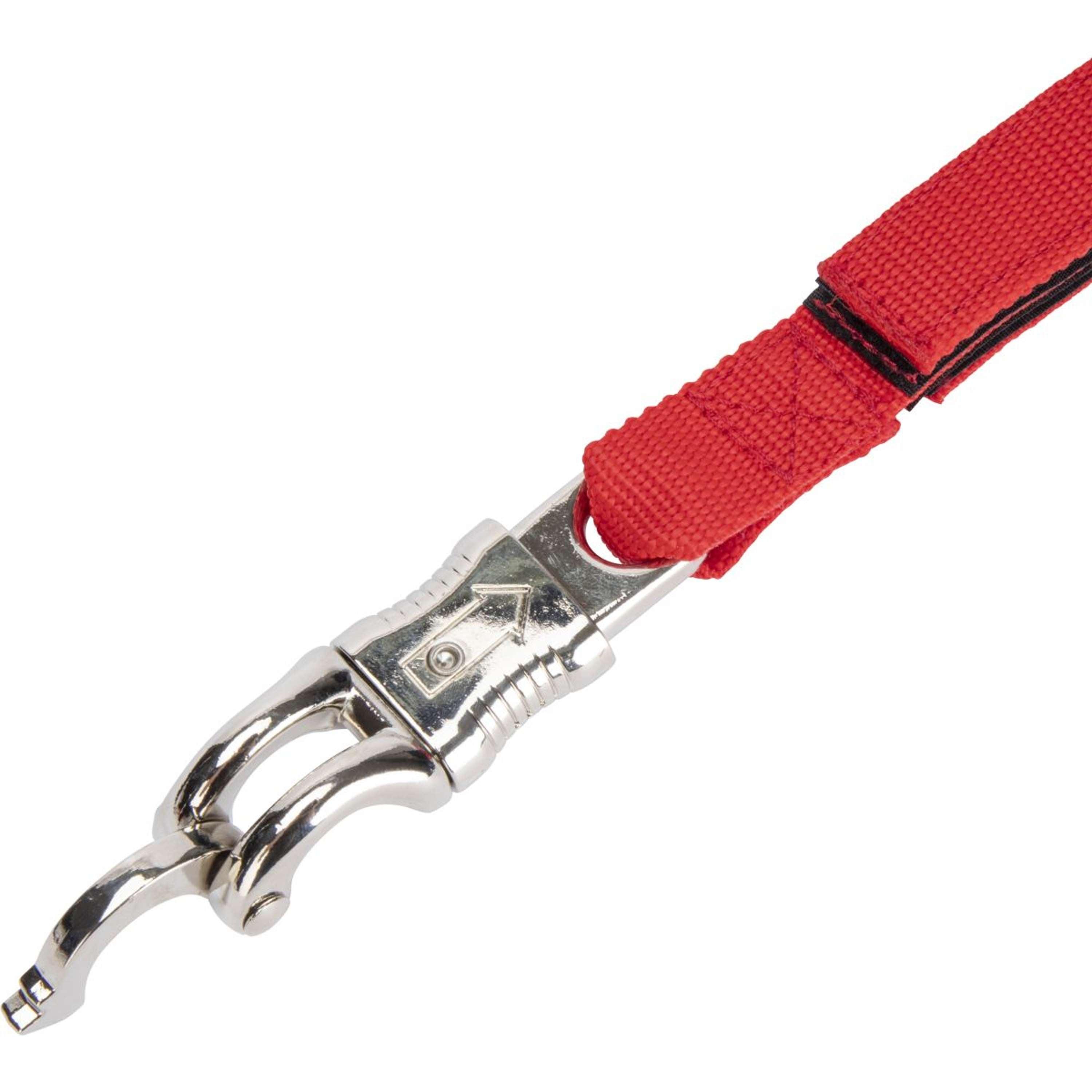 Shires Ribbon Tie Bungee Breakaway Red