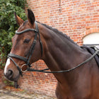 Velociti by Shires Reins Lusso Elite Pro SureGrip Black