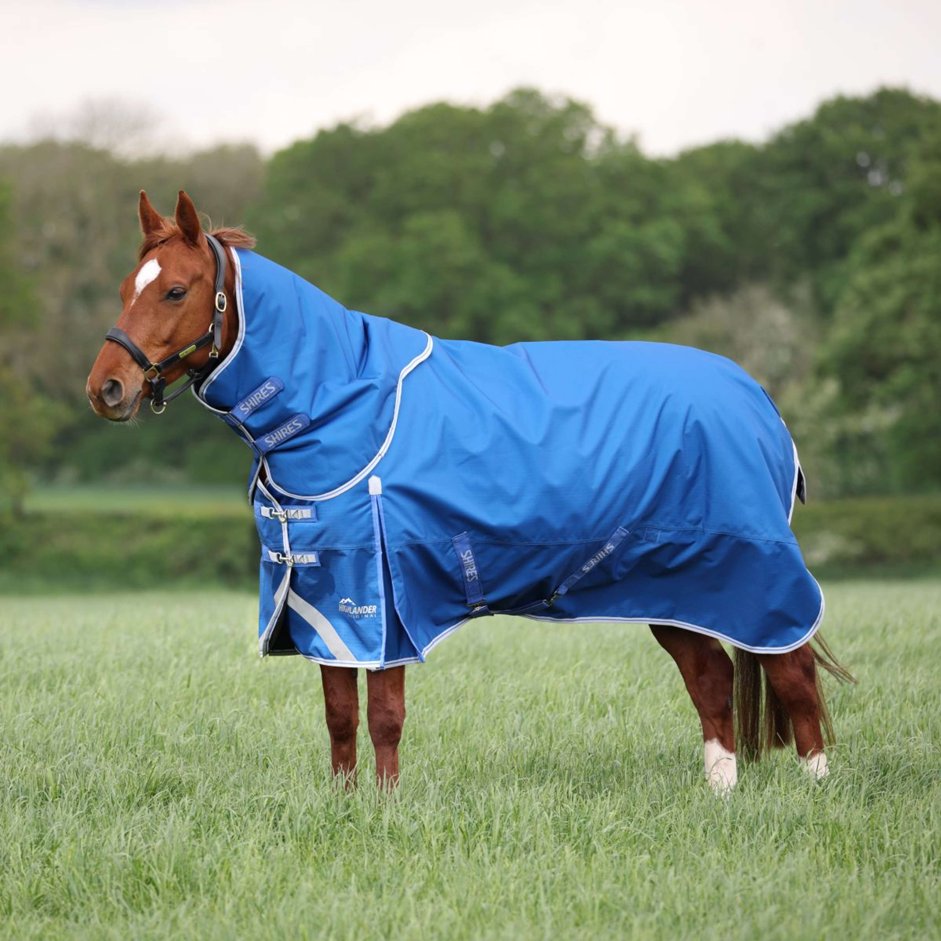 Highlander Original by Shires Winter Rug Turnout 200g with Hood Blue