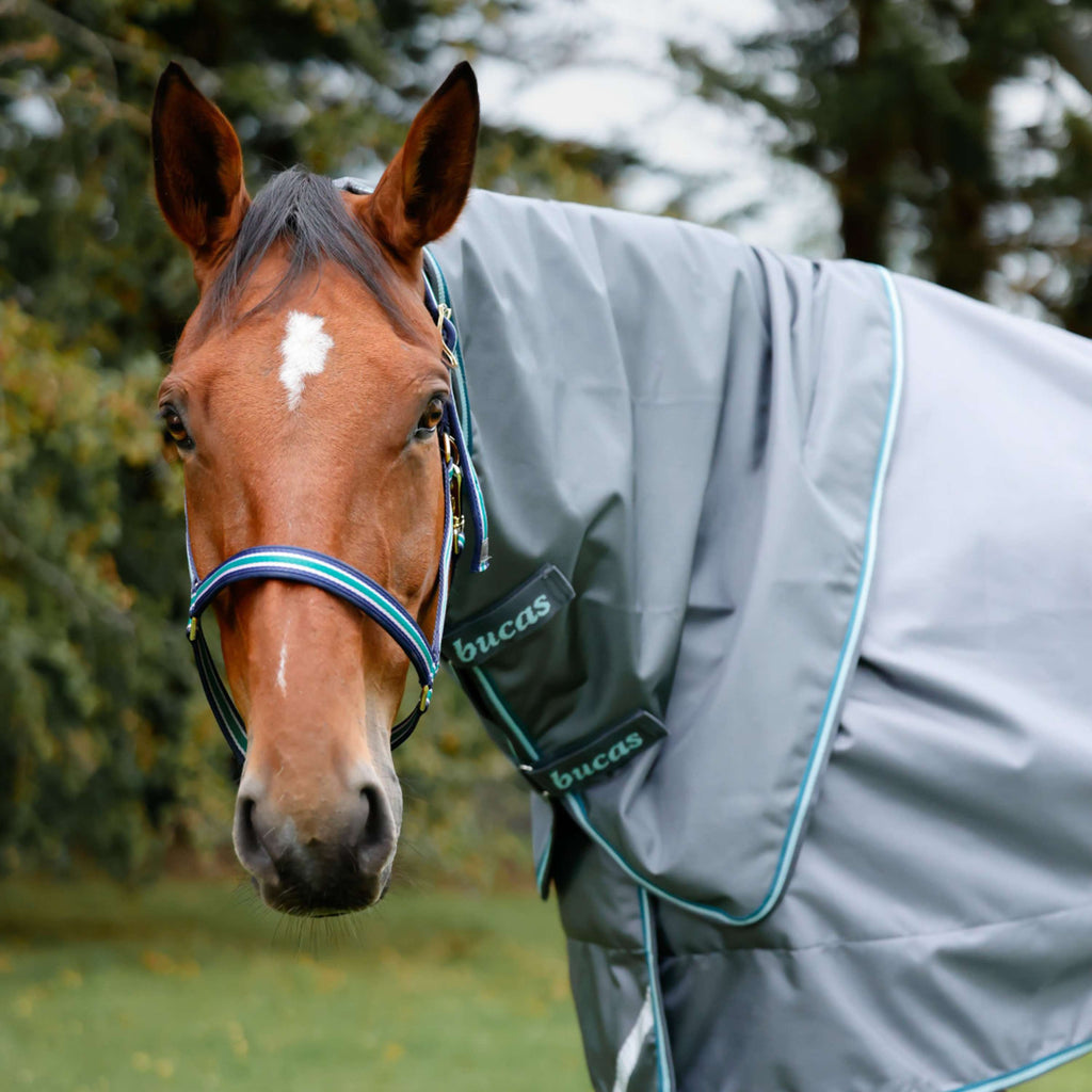 Bucas Neck Cover Smartex Iron Gate/Teal