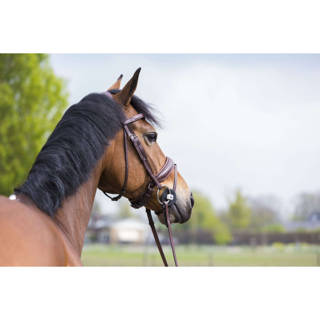 Trust Loose Ring Snaffle Inno Sense Port Medium Slim 14mm