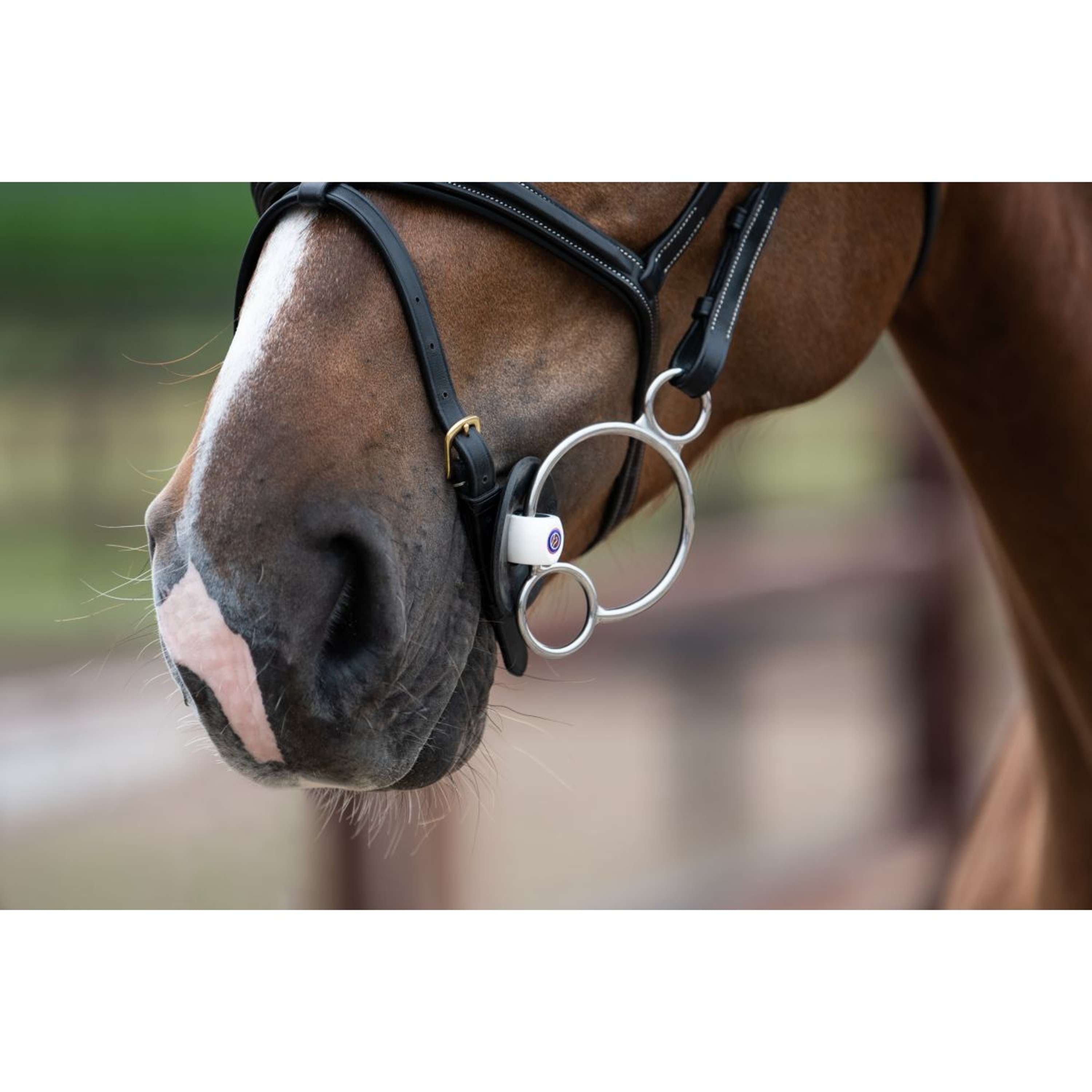 Trust Pessoa Bit Inno Sense 2,5 Ring Port Medium Slim 14mm