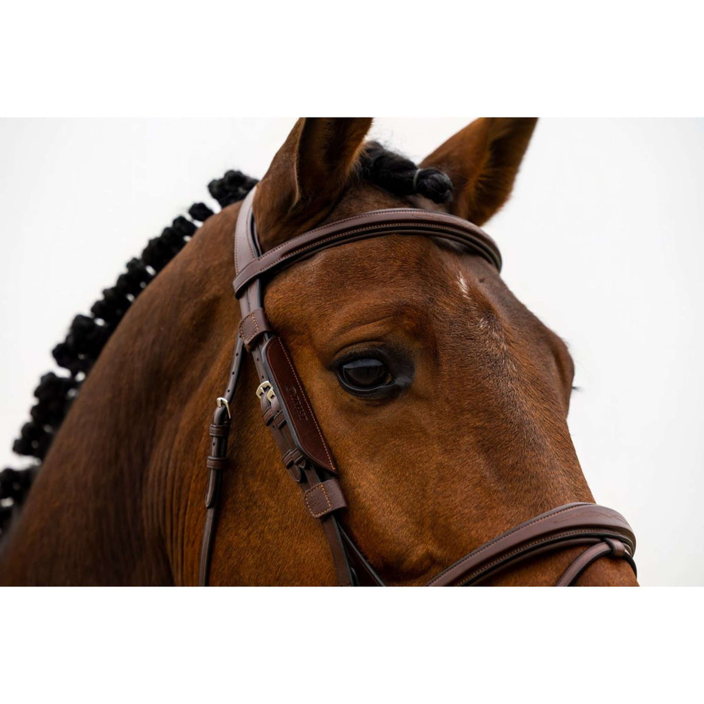 Trust Blinkers Black