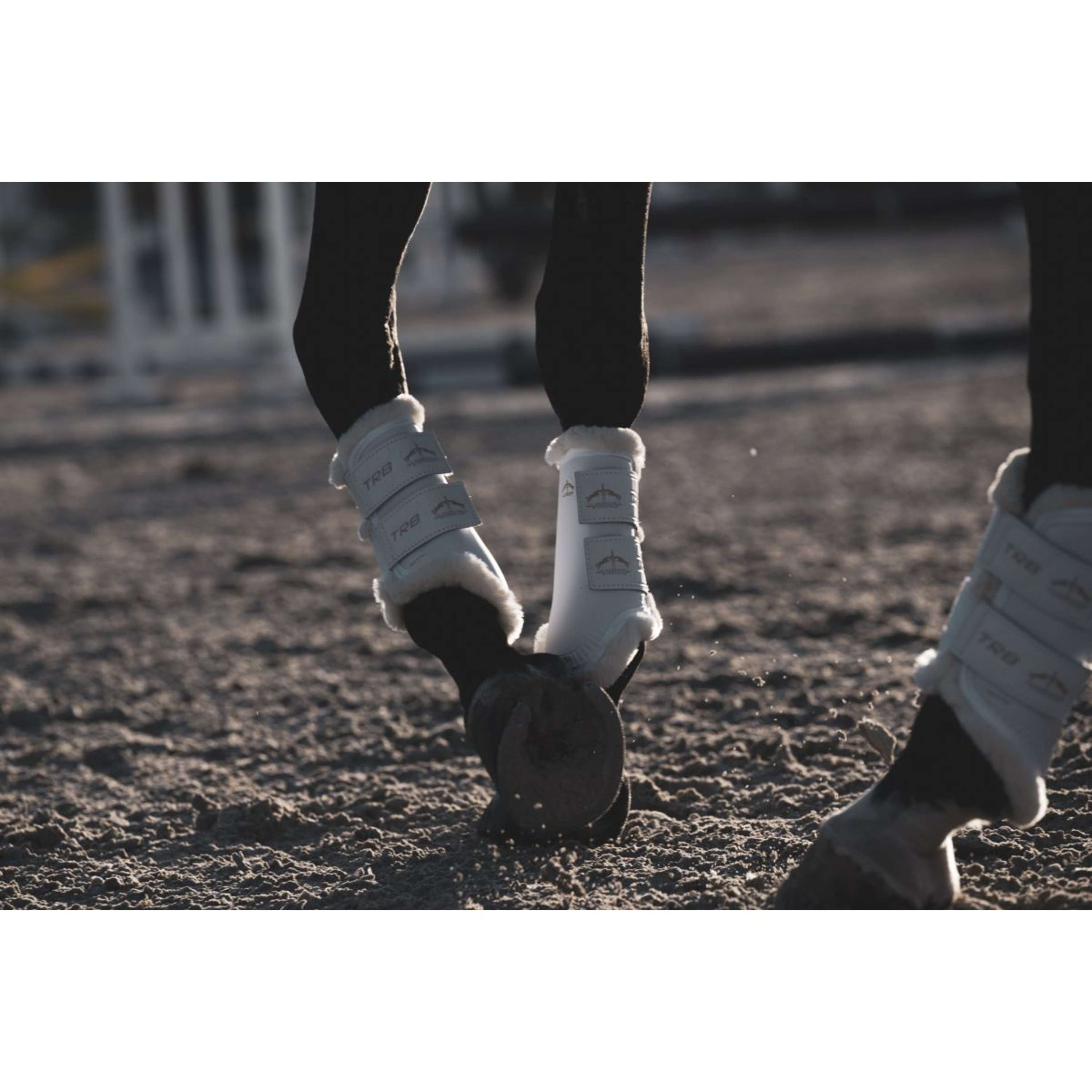Veredus Leg Protectors TRB Save the Sheep Rear White