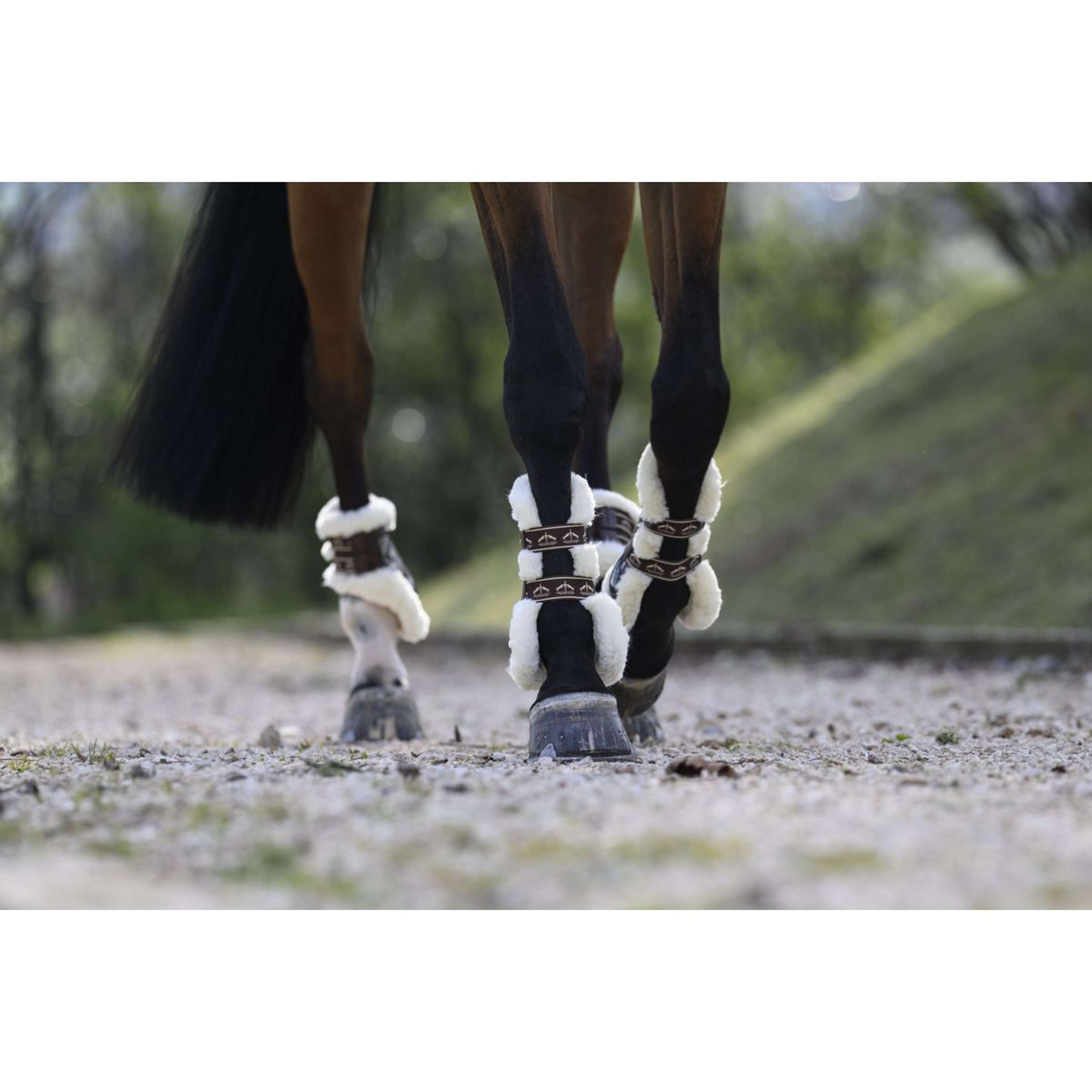 Veredus Fetlock Boots Carbon Gel Absolute Save the Sheep Rear  Brown