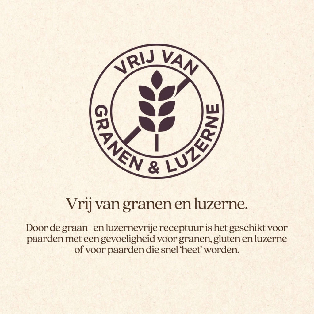 Vitalstyle Roughage Mix Protein & Fiber