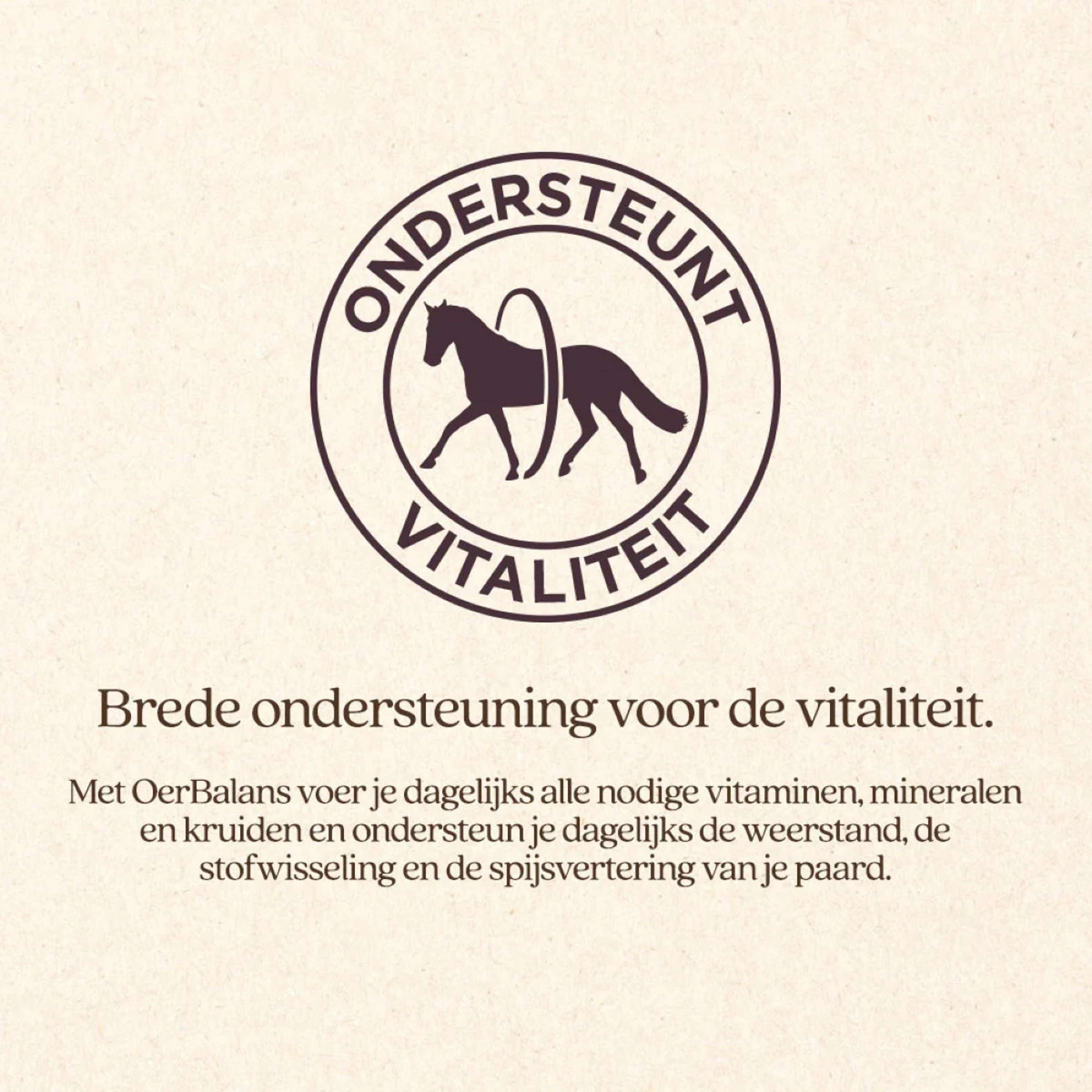 Vitalstyle Brok Primal Balance