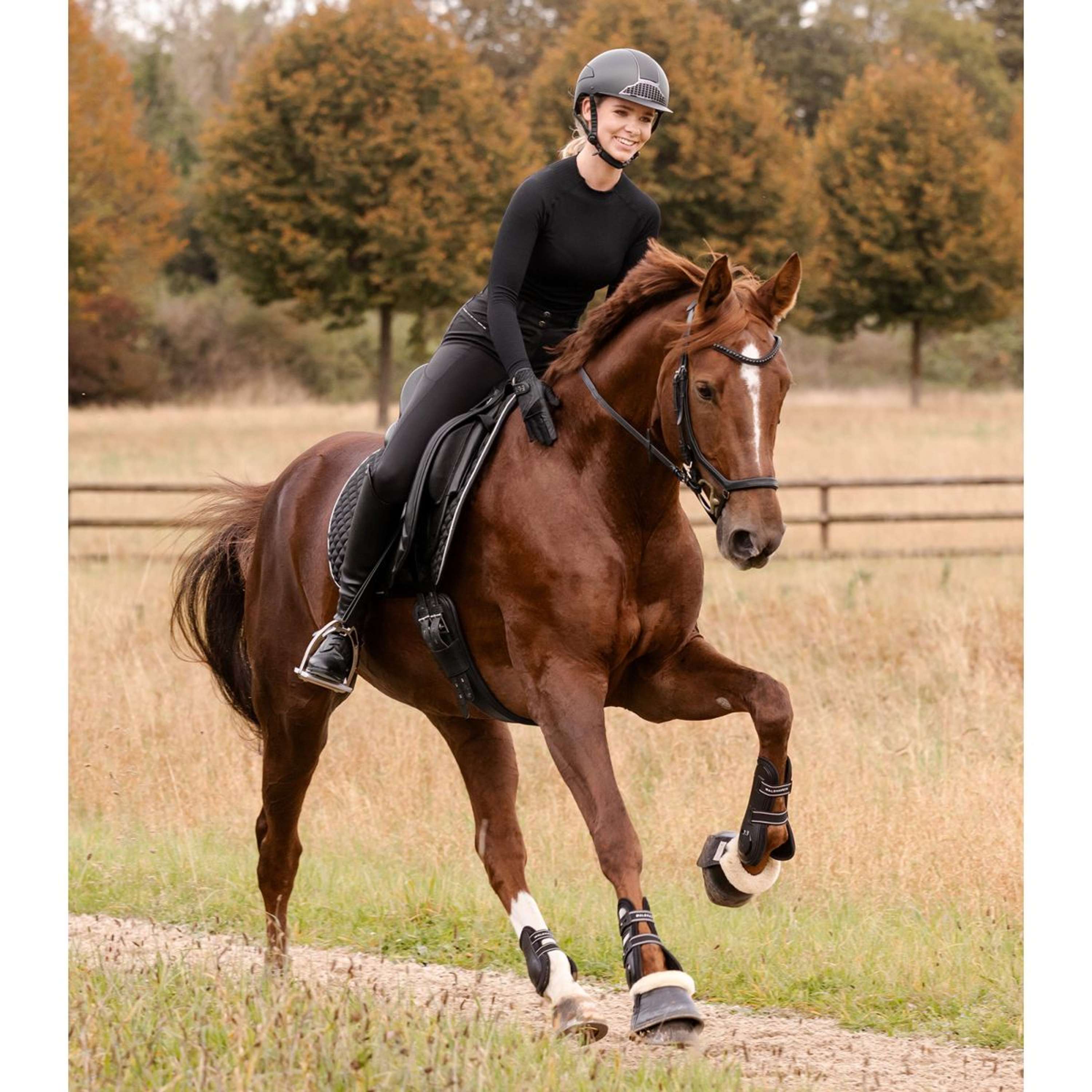 Waldhausen Saddlepad Felix Glam Dressage Black