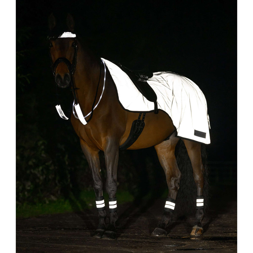 Waldhausen Exercise Rug Reflex Silver Grey