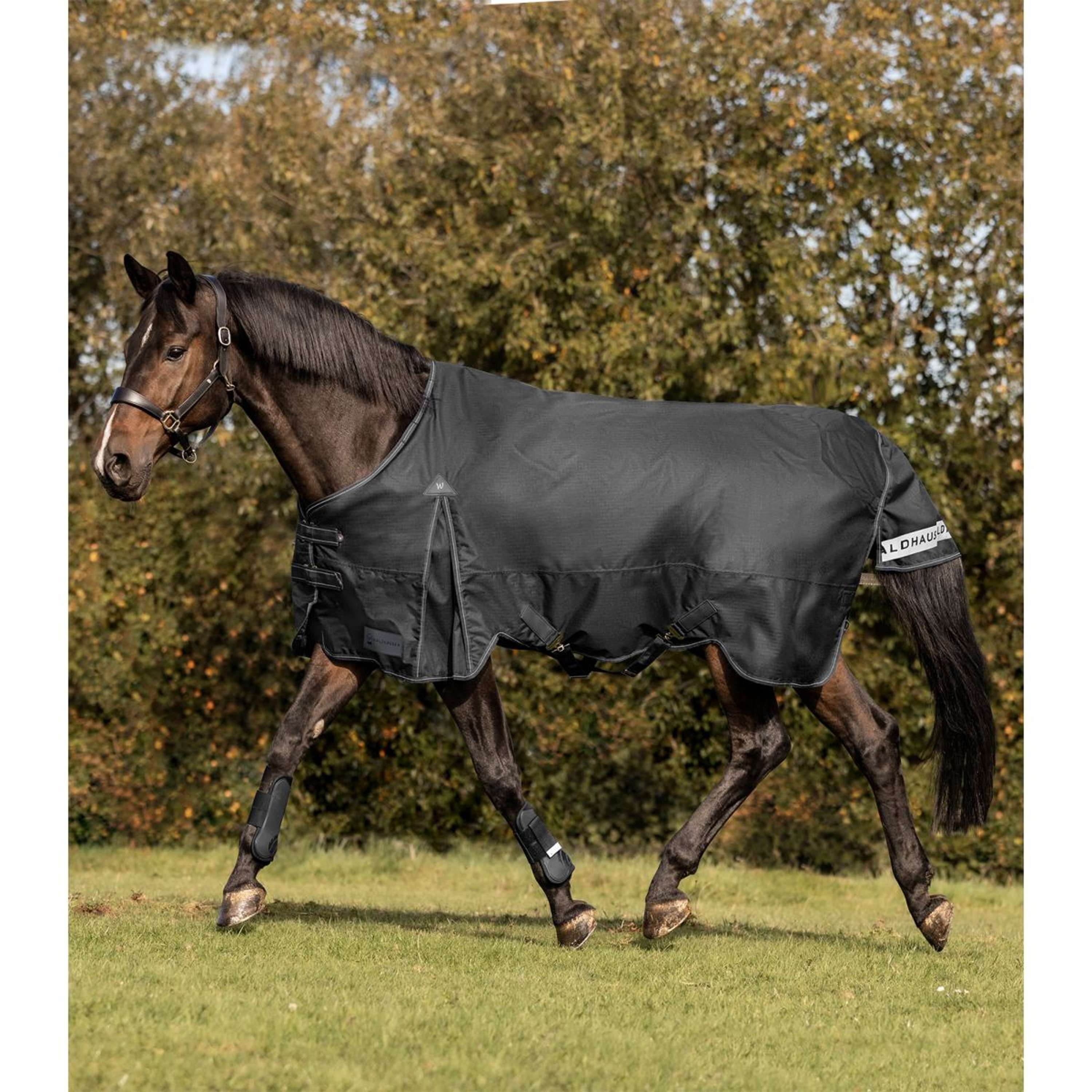Waldhausen Outdoor Rug Arctic 50g Black