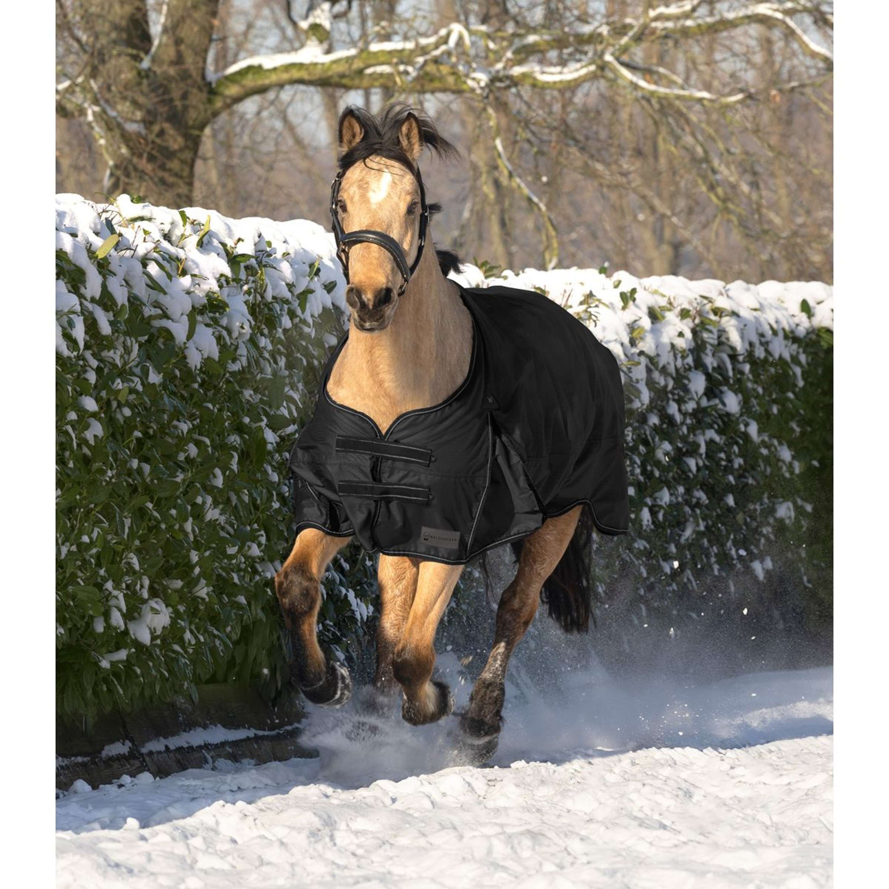 Waldhausen Outdoor Rug Arctic 200g Black