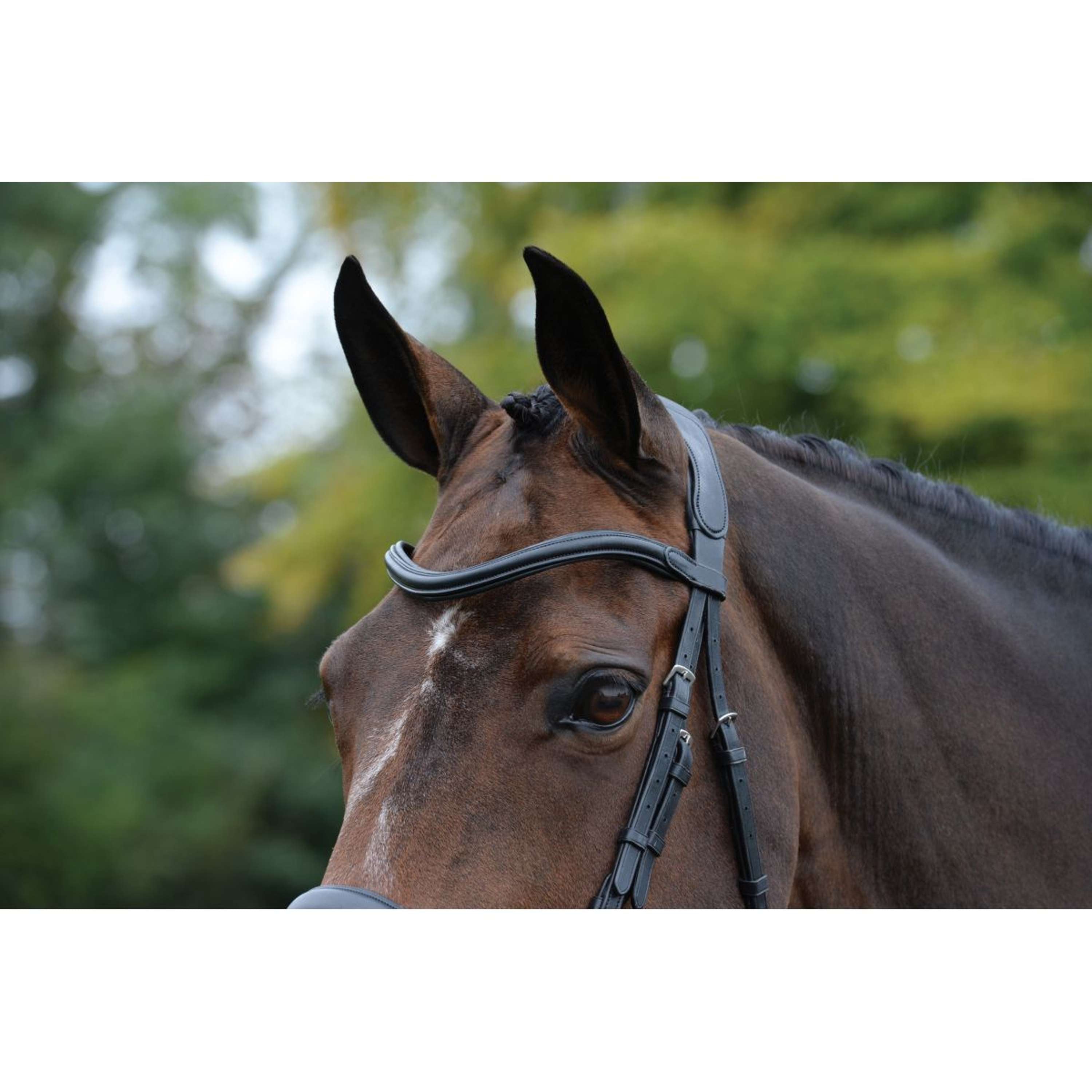 Collegiate Bridle ComFiTec Vogue Anatomic Black
