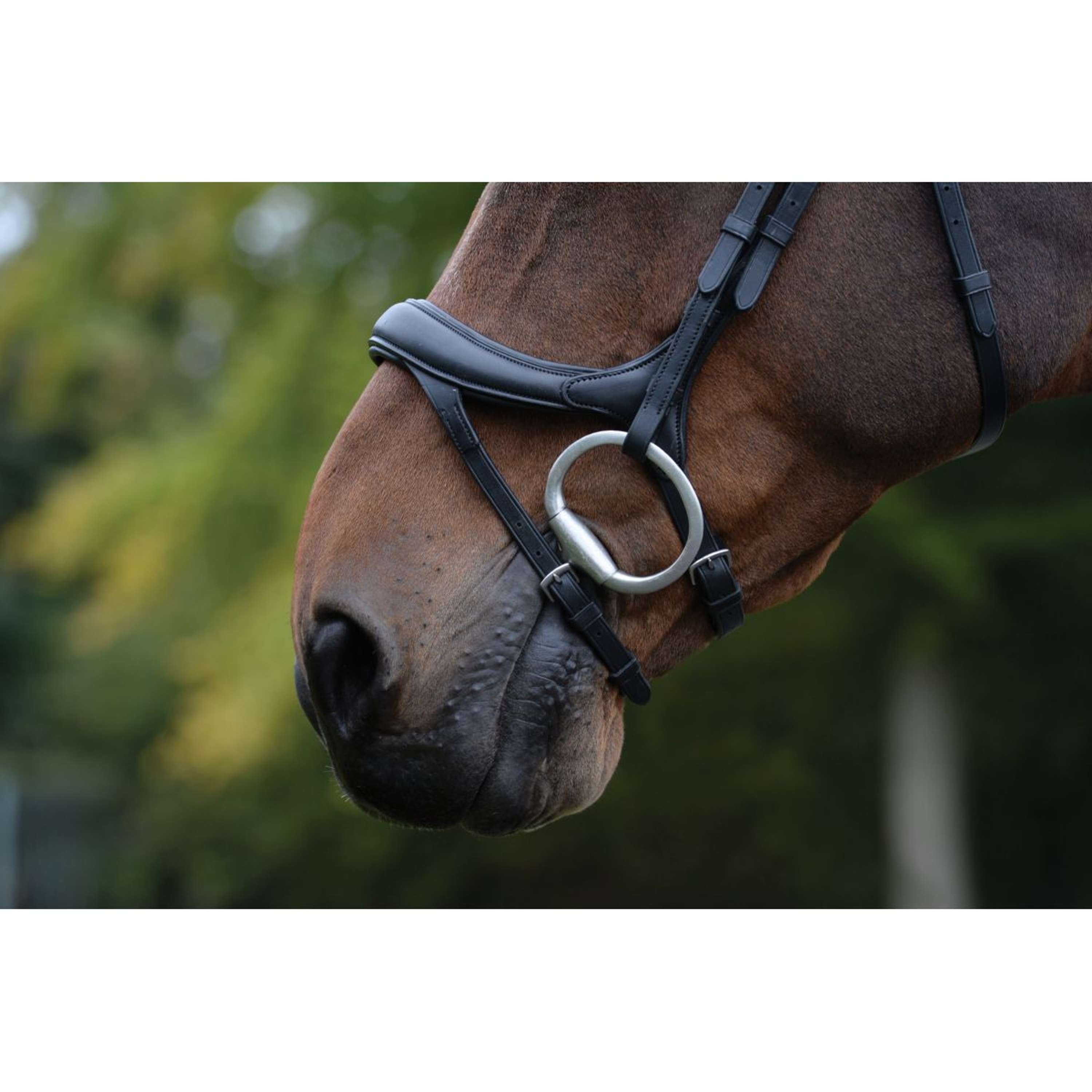 Collegiate Bridle ComFiTec Vogue Anatomic Black