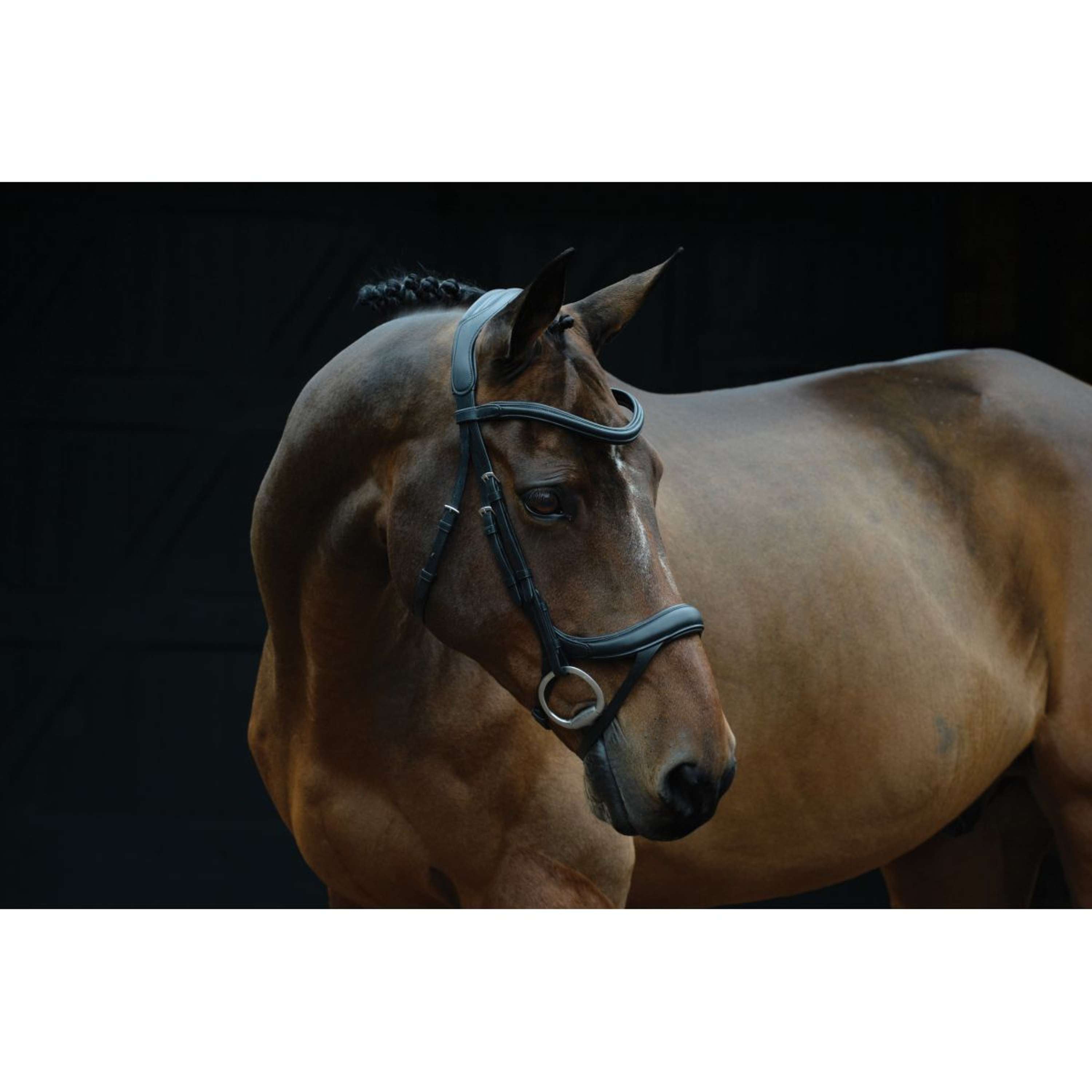 Collegiate Bridle ComFiTec Vogue Anatomic Black