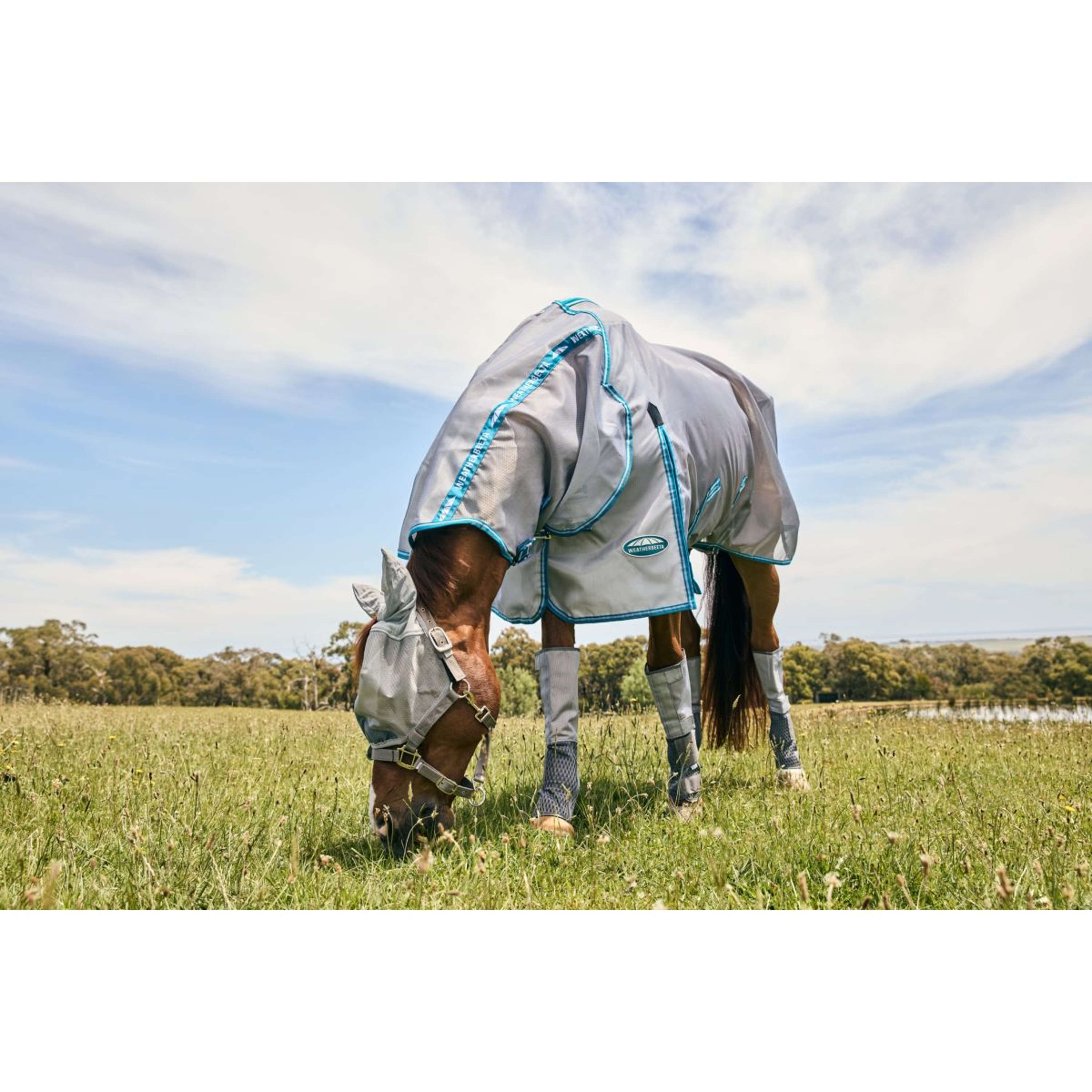 WeatherBeeta Fly Mask ComFiTec Hexi Dual Silver