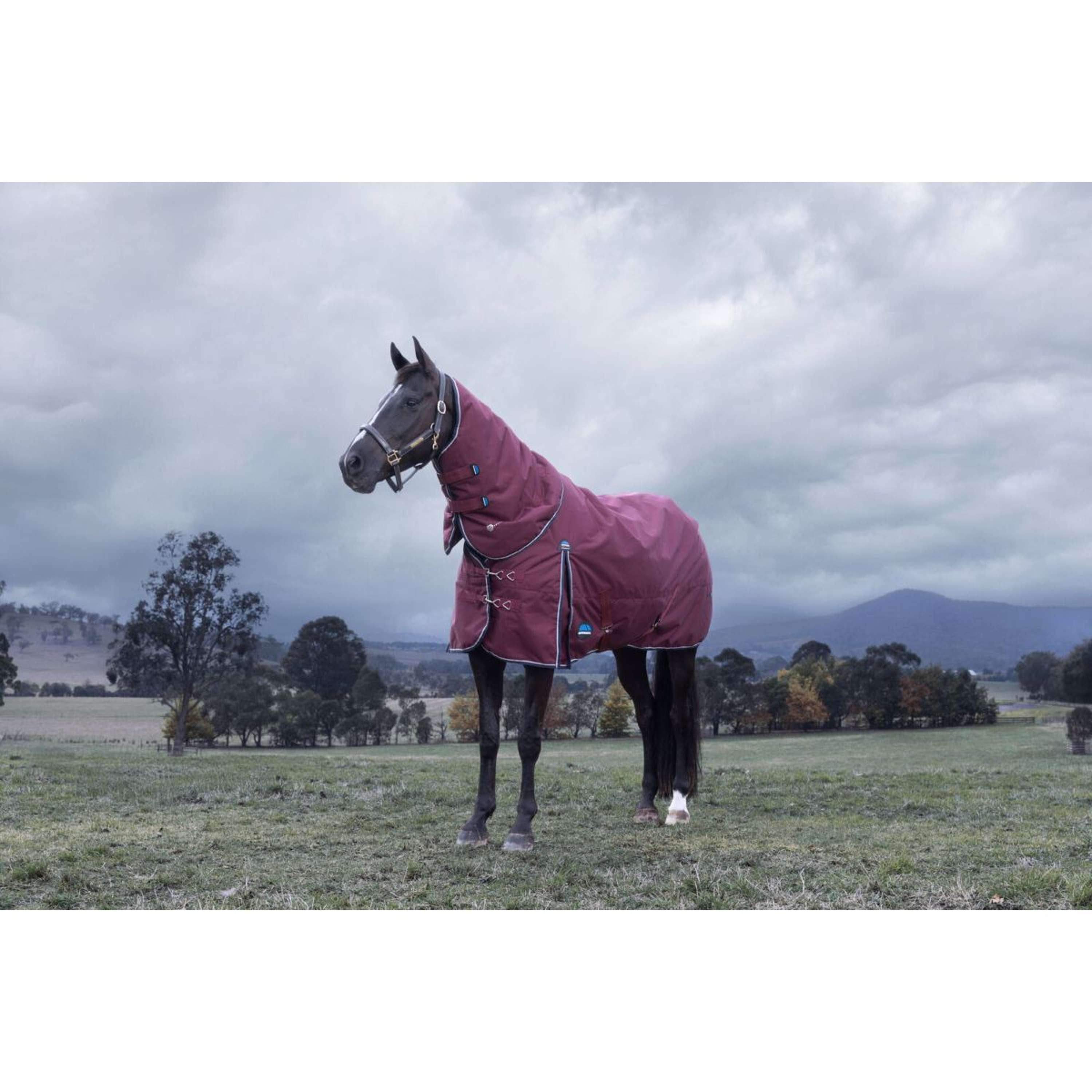 WeatherBeeta ComFiTec Essential Turnout Detach-A-Neck 220g Burgundy/Navy